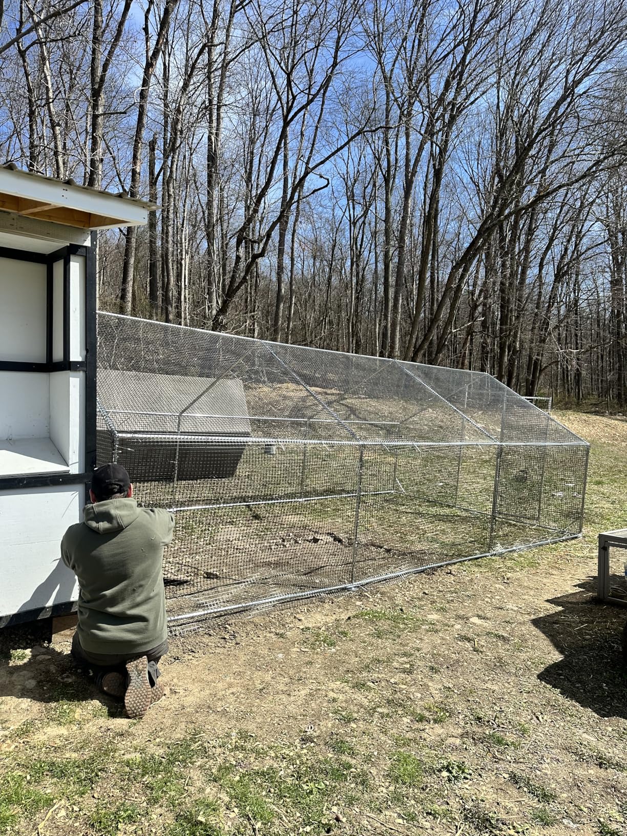 CAMMOO Metal Chicken Coop with Run, 9.8x6.6x6.6ft Walk-in Chicken Run for Yard with Cover, Upgrade Double Lock & Rust-Proof Mesh, Stainless Steel Ties, Easy Assembly, Chicken Pen for Ducks, Rabbits customer photo 1