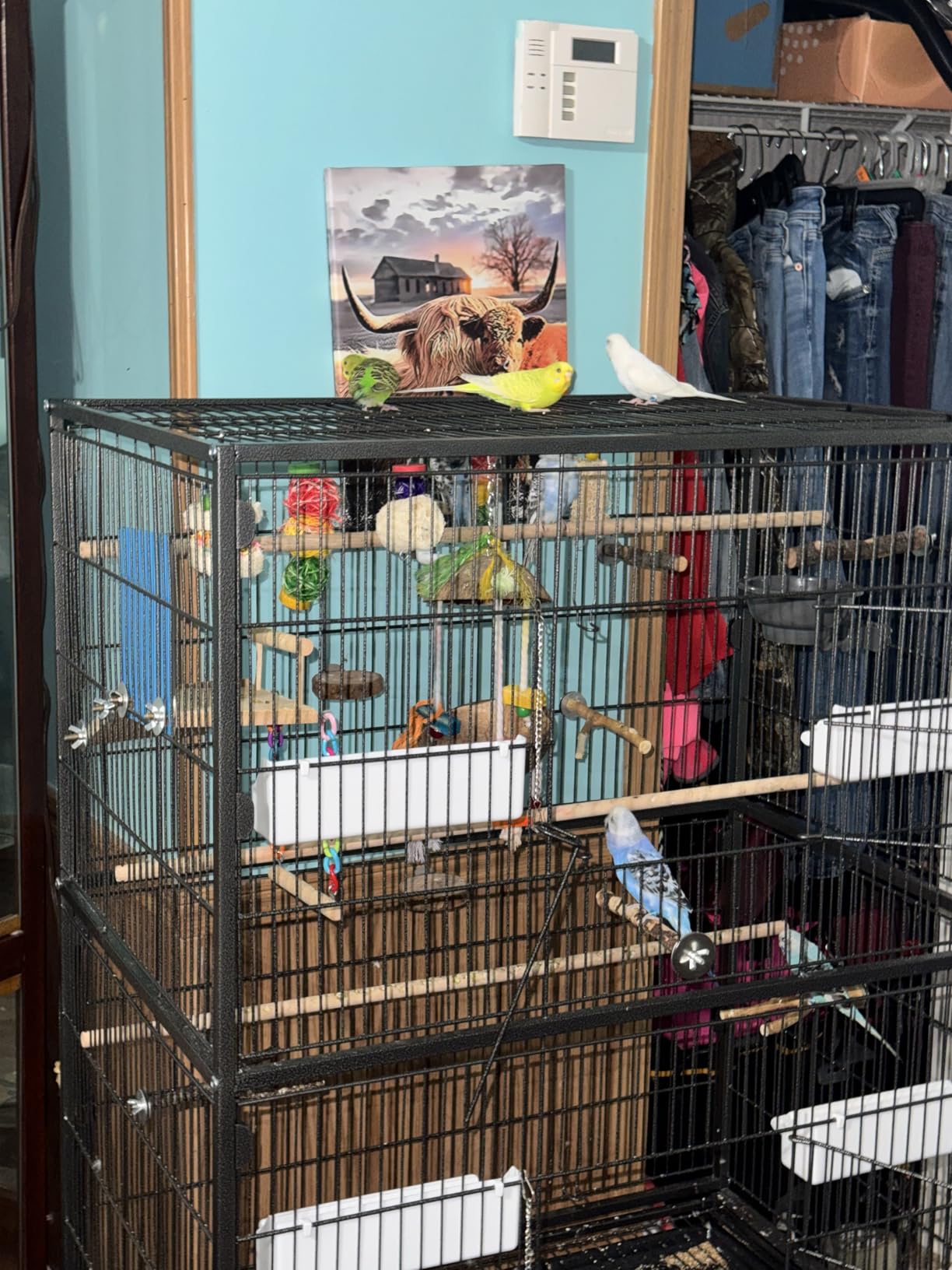 VEVOR Bird Cage, 24.6 x 16.7 x 53.9 inch, Flat Top, Wrought Iron Bird Flight Cage with Perches, Slide-Out Tray and Plastic Feeders, Casters, for Parrot, Blue Tit, Cockatiel, Canary, Budgerigar, Conure customer photo 2