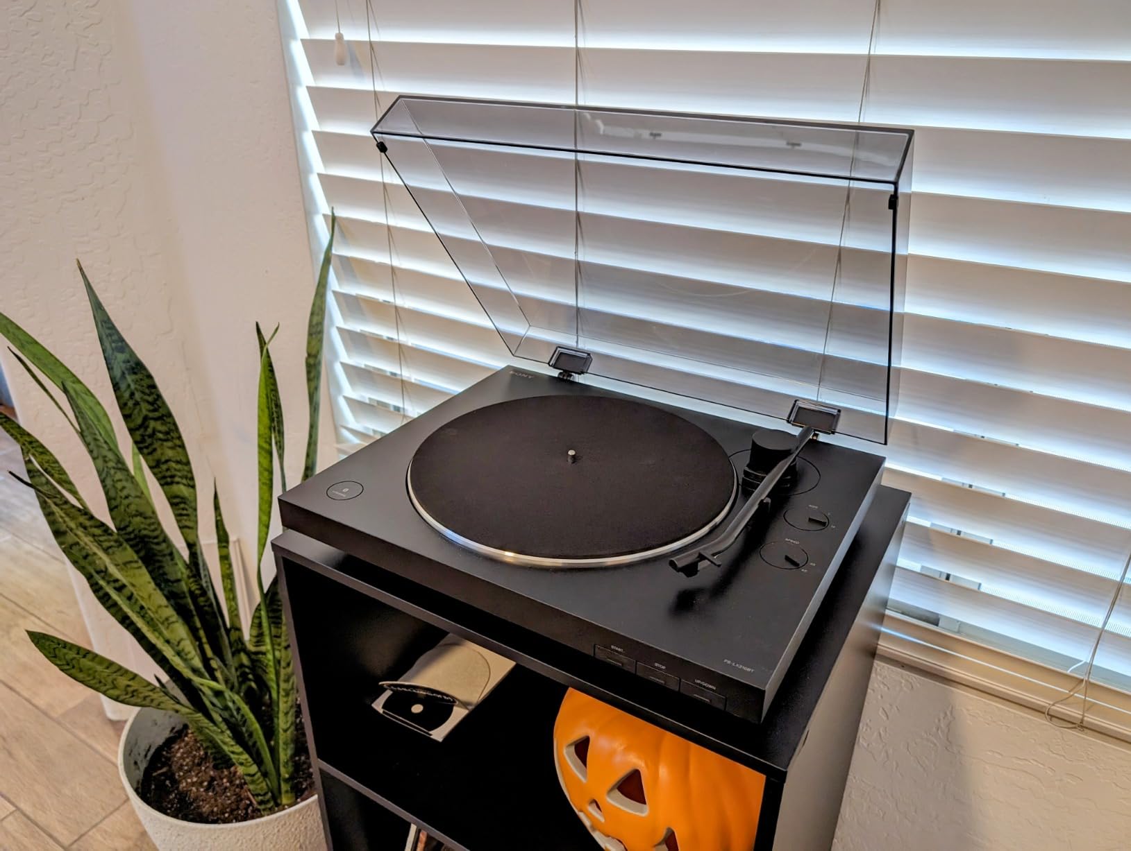 Sony PS-LX3BT Wireless Bluetooth Turntable (2026 Model) Fully Automatic Belt Drive Vinyl Record Player with Built-in Phono EQ, Black customer photo 1