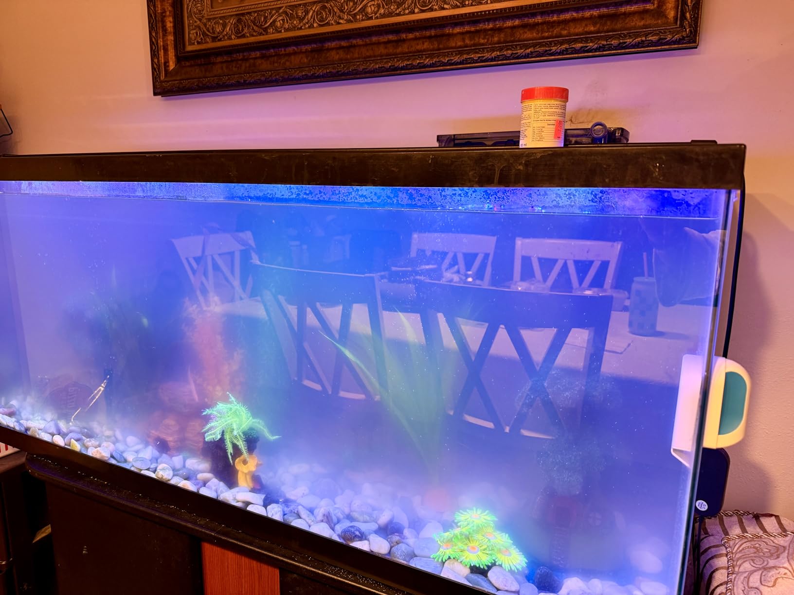 Large Hang on Back Aquarium Filter 264GPH for 20-75 Gal Fish Tank, w/ U-V Light Surface Skimmer customer photo 2