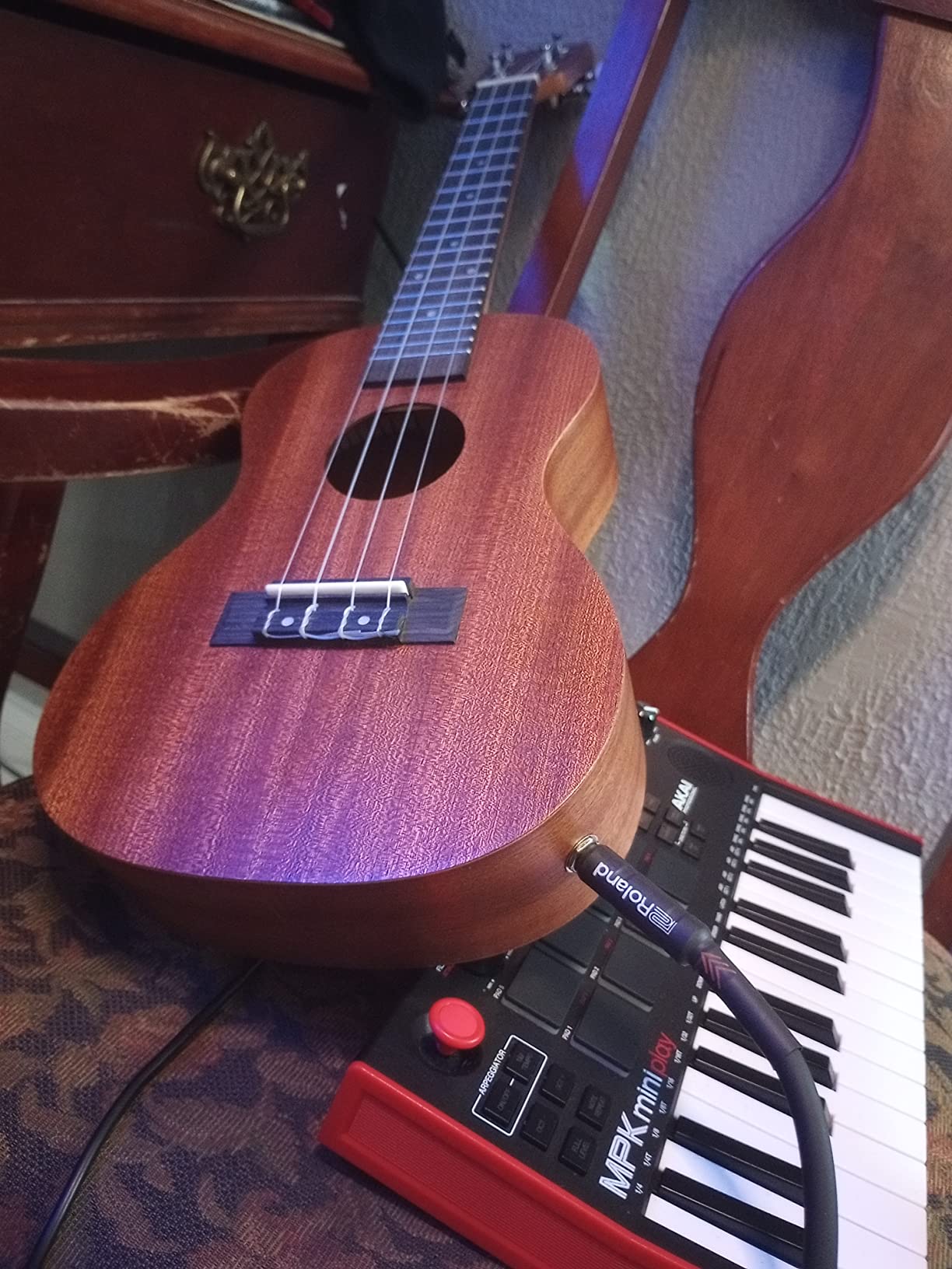 Kadence Mahogany Wood Professional Baritone Ukulele With Acoustic/Electric option with Bag customer photo 1