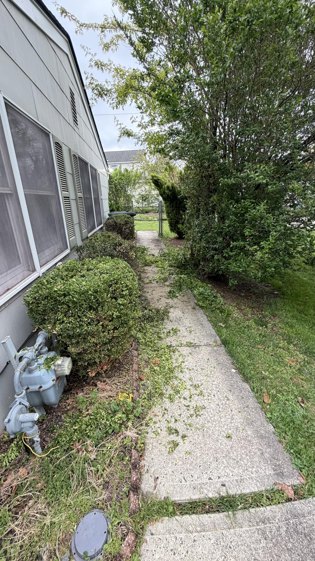 Hedge Trimmer Cordless 22