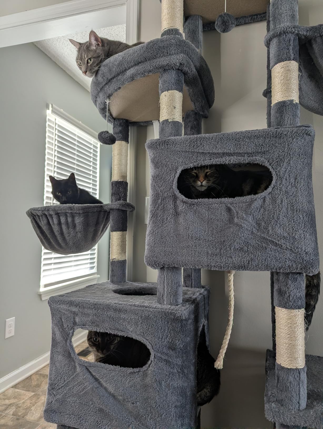 Heybly Cat Tree, 74.8-Inch Spacious and Tall Cat Tower for Large Cats, Cat Furniture with Large Top Perch, Solid Base, 2 Cat Condos, Hanging Hammock, Durable Sisal Scratching Posts, Smoky Gray HCT062G customer photo 1