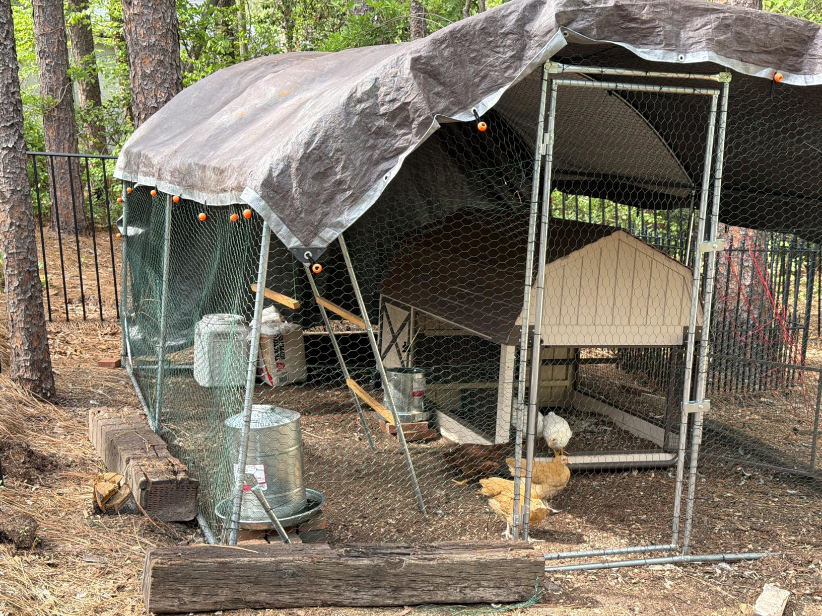 Quictent Essential Series 18x9x6.6ft Metal Chicken Coop Run with Climbing Ladder, Walk-in Outdoor Poultry Cage with PVC Coated Chicken Wire, Waterproof Anti-UV Cover customer photo 1