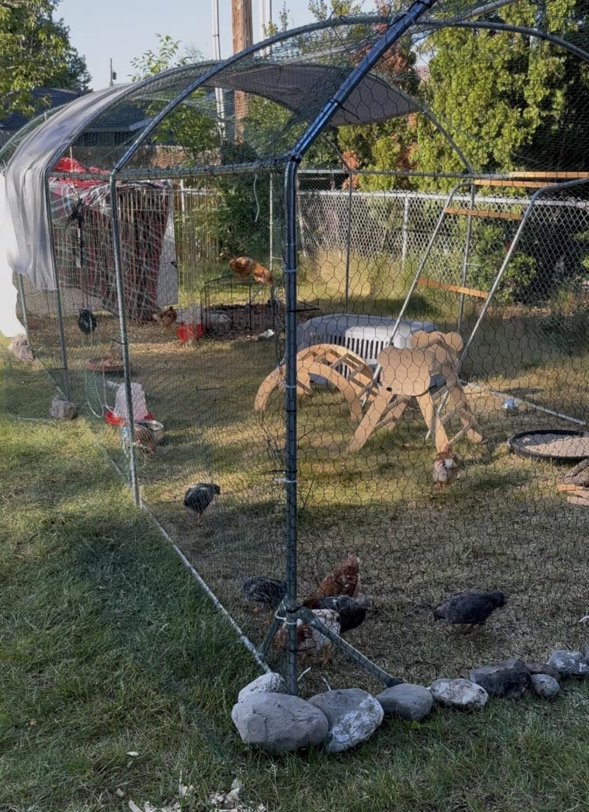 Quictent Essential Series 18x9x6.6ft Metal Chicken Coop Run with Climbing Ladder, Walk-in Outdoor Poultry Cage with PVC Coated Chicken Wire, Waterproof Anti-UV Cover customer photo 2
