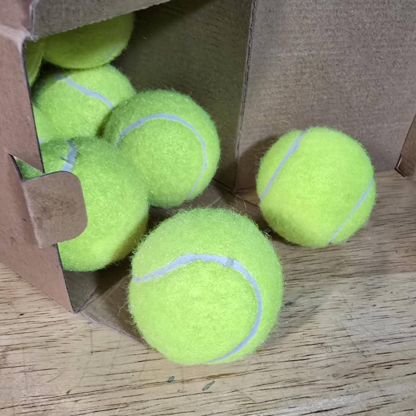 Automatic Dog Ball Launcher for Small Dogs & Medium Dogs, Interactive Fetch Machine with 3 Launch Distances (15-45 FT), USB Rechargeable, Includes 6 ETPU Balls customer photo 2