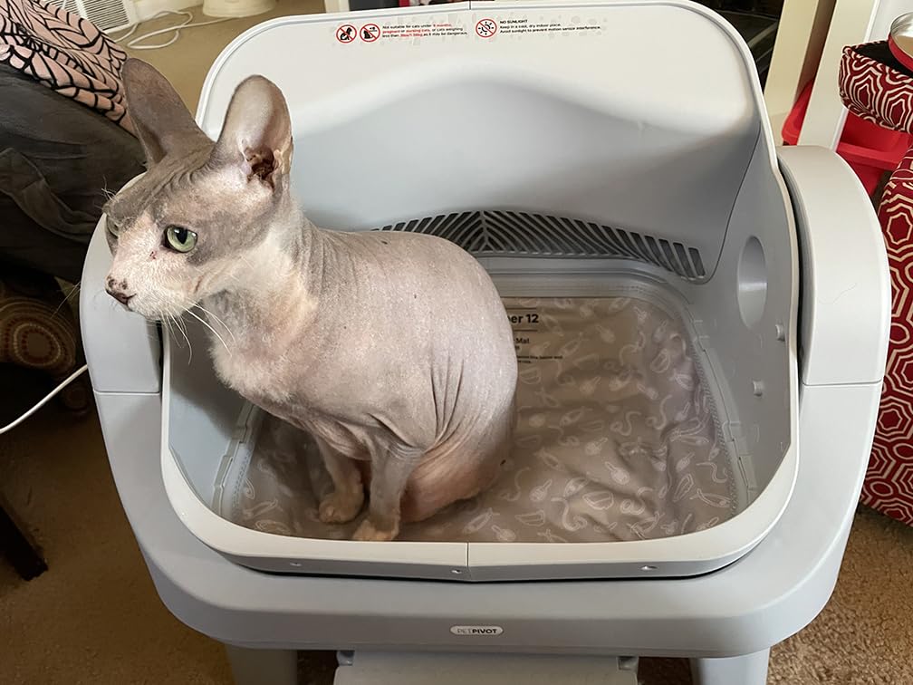 PetPivot Open Top Self Cleaning Cat Litter Box, Automatic Litter Box with 7 Pairs of Safety Sensors customer photo 1