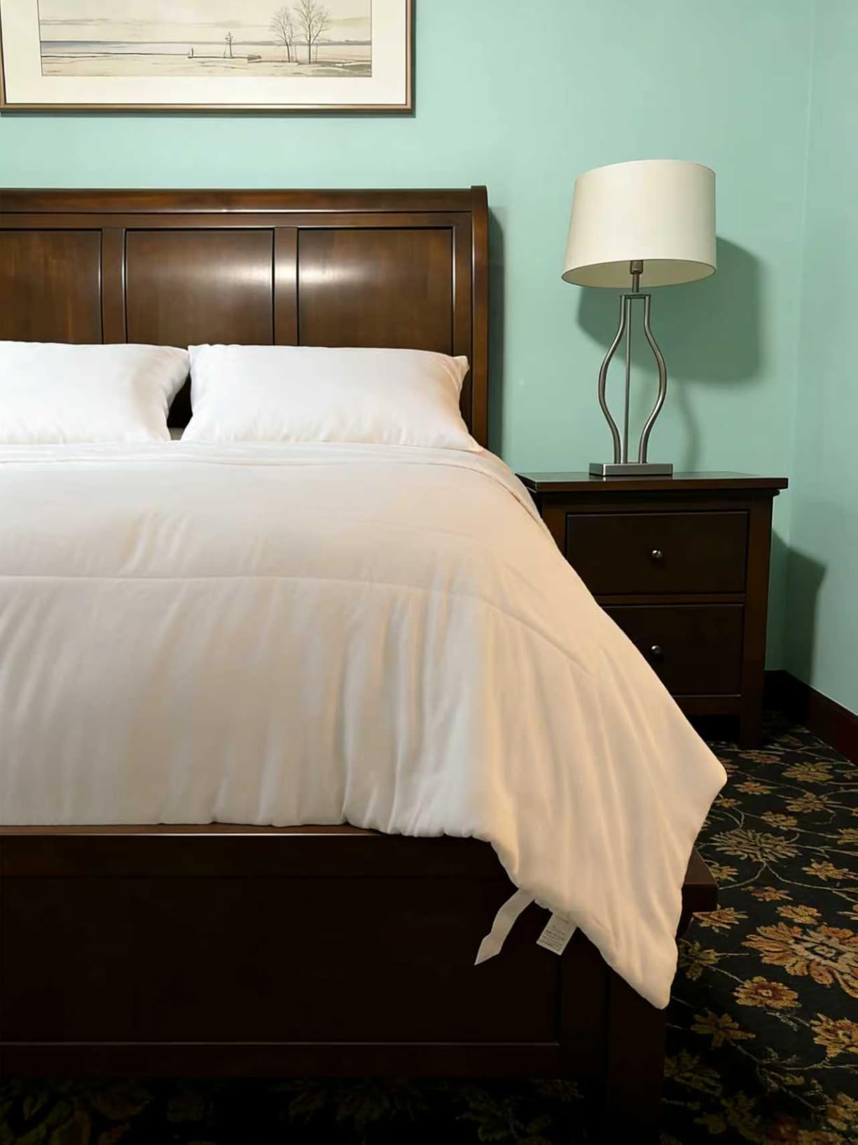 75% Canadian Goose Down Comforter King Size, Ultra Soft 100% Cotton Fabric, 850 Fill Power All Season Duvet Insert, Hotel Luxury Bedding Comforters (White, 106