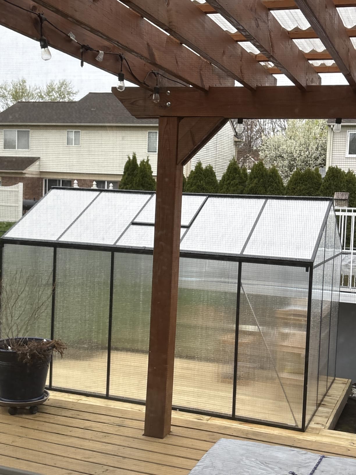 6x10 FT Greenhouse for Outdoors, Polycarbonate Greenhouse with Roof Vent, Ground Nails, Lockable Push Door, Aluminum Large Walk-in Green House for Outside Garden Backyard, Patio, Lawn, Black customer photo 2