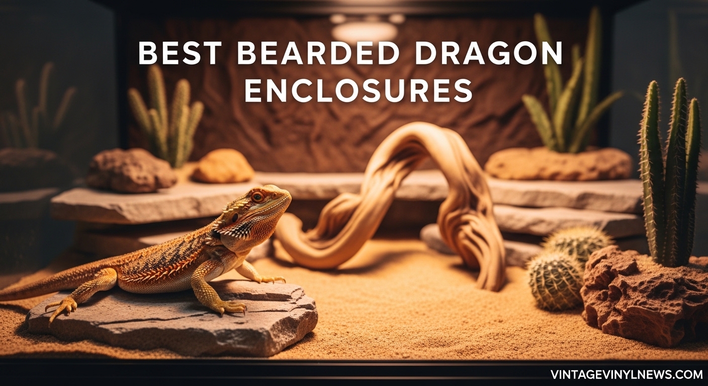 Best Bearded Dragon Enclosures