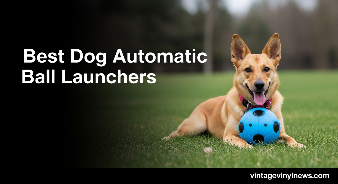 Best Dog Automatic Ball Launchers