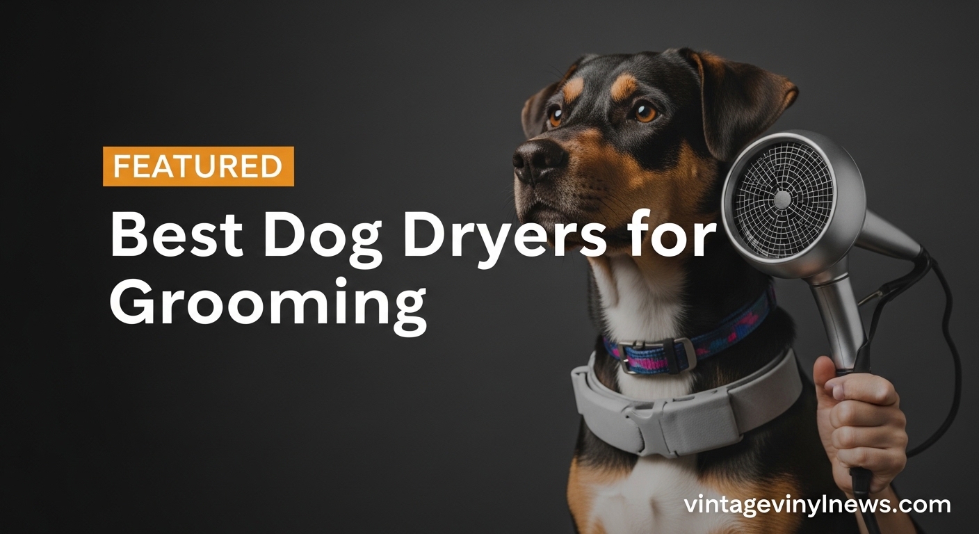 Best Dog Dryers for Grooming