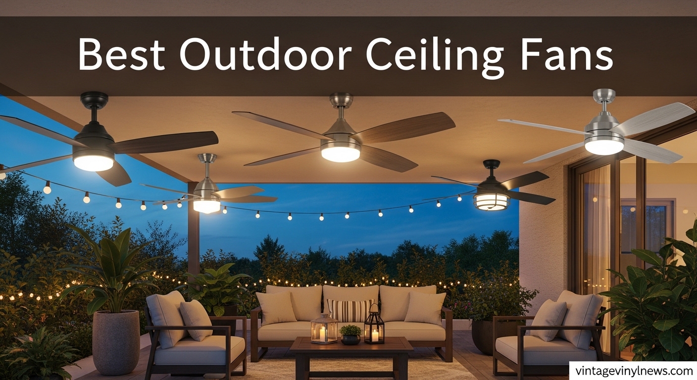 Best Outdoor Ceiling Fans