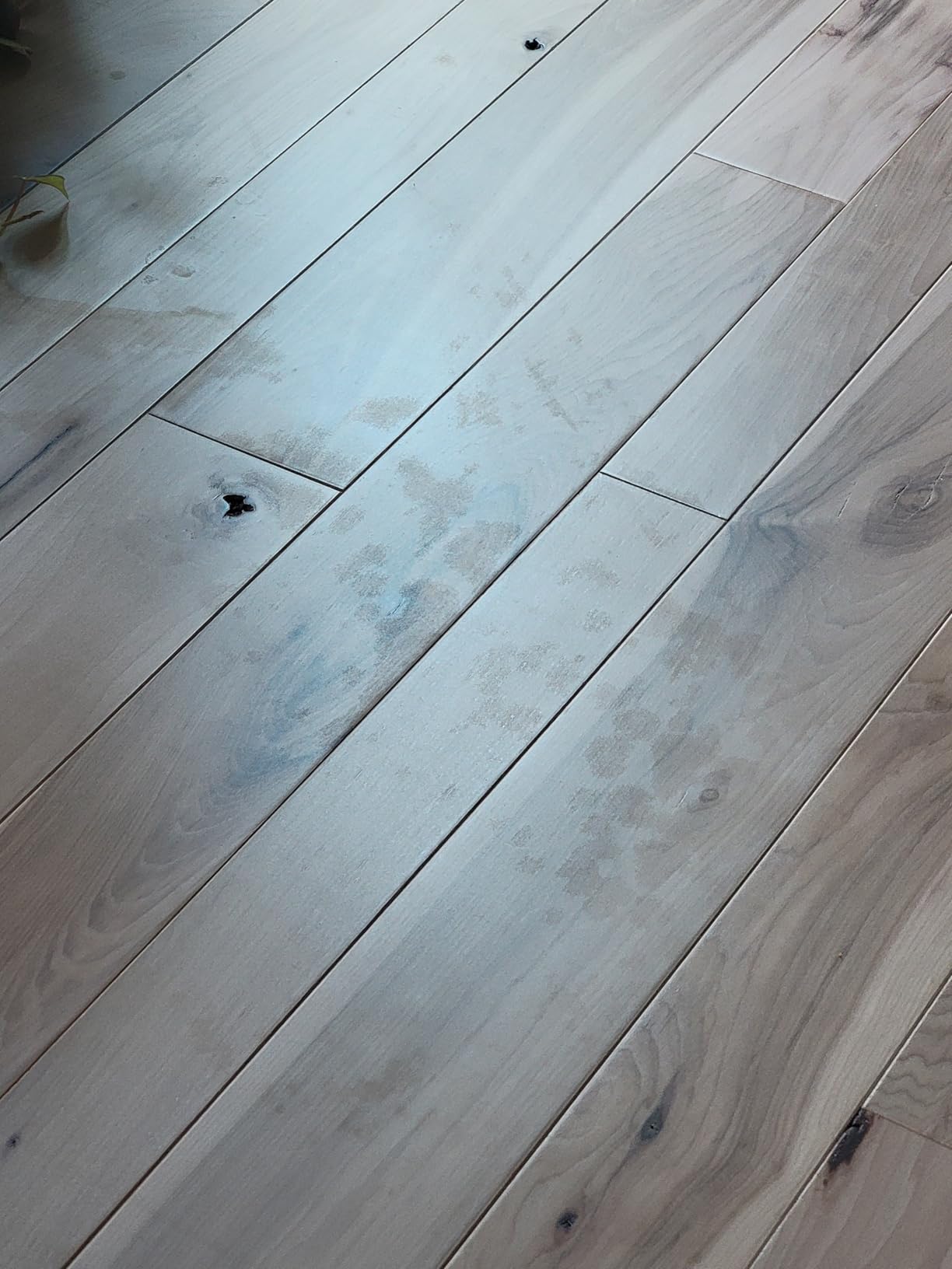 Bruce Hardwood and Laminate Floor Cleaner for All No-Wax Urethane Finished Floors Refill 64oz customer photo 2