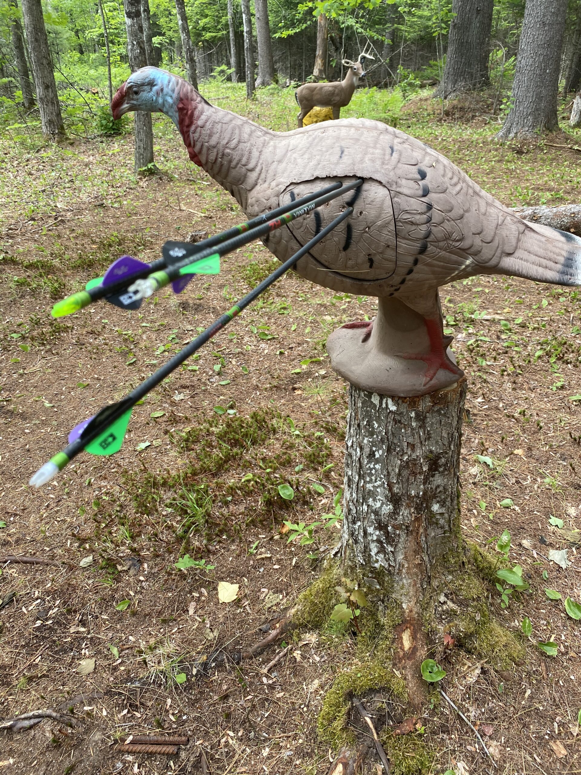 Rinehart Signature Tom Turkey 3D Archery Target - Replaceable Vital Insert - Self-Healing Foam - Made in USA customer photo 1
