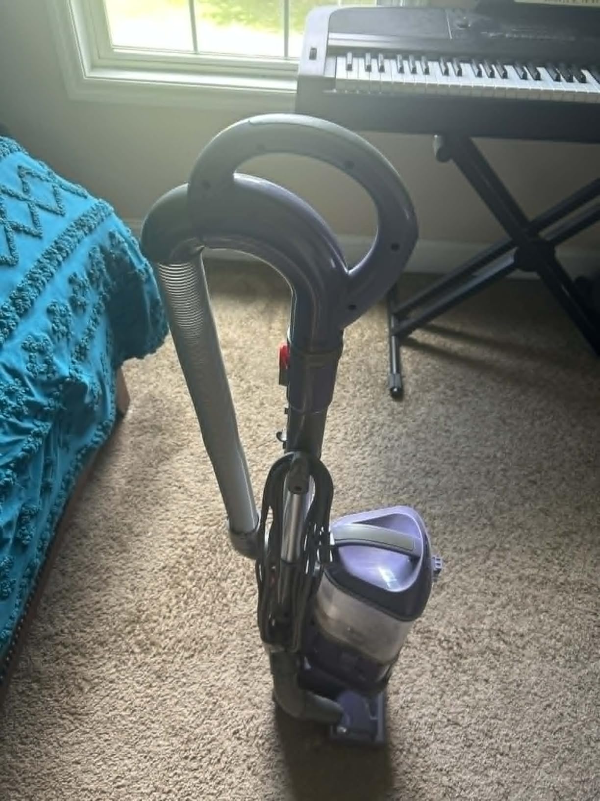 Shark Upright Vacuum Cleaner | Navigator Lift-Away | Pet Hair, Carpet & Hard Floor Cleaning | Upholstery & Crevice Tools | HEPA Filter | Swivel Steering | Large Dust Cup Capacity | Lavender | NV352 customer photo 2