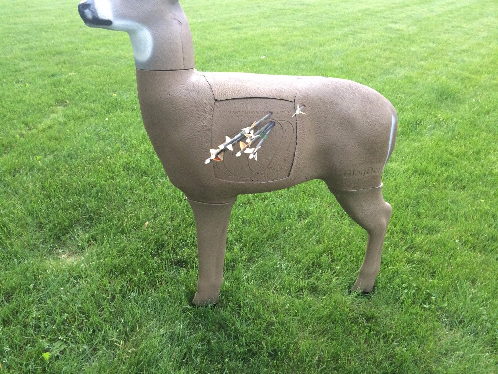 GLENDEL Pre-Rut Buck 3D Deer Archery Target with Replaceable 4-Sided Core Included, 250lb Life Size, Brown customer photo 1