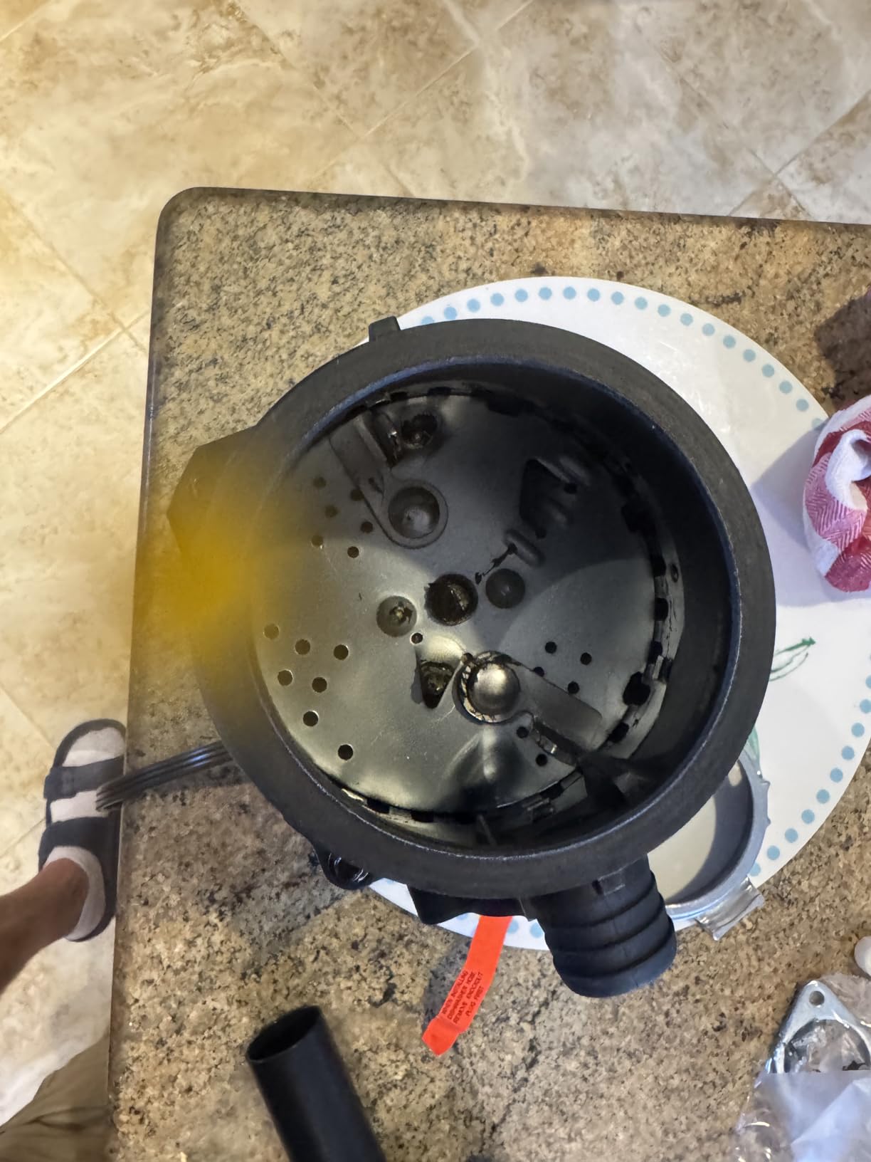 GE Disposall Continuous Feed 1/2 Horsepower Motor Garbage Disposer, Good for Grinding: Cooked Meat, Beans, & Seeds, Easy Install Kit & Power Cord Included, Recommended for 2-4 Person Homes, GFC525N customer photo 1