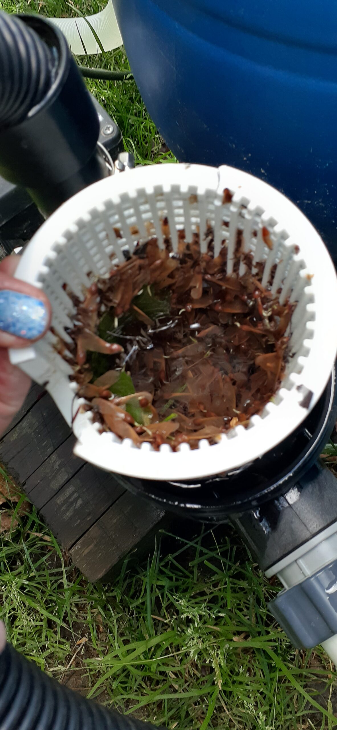 Pentair 360100 Kreepy Krauly Lil Shark Above Ground Pool Cleaner customer photo 2