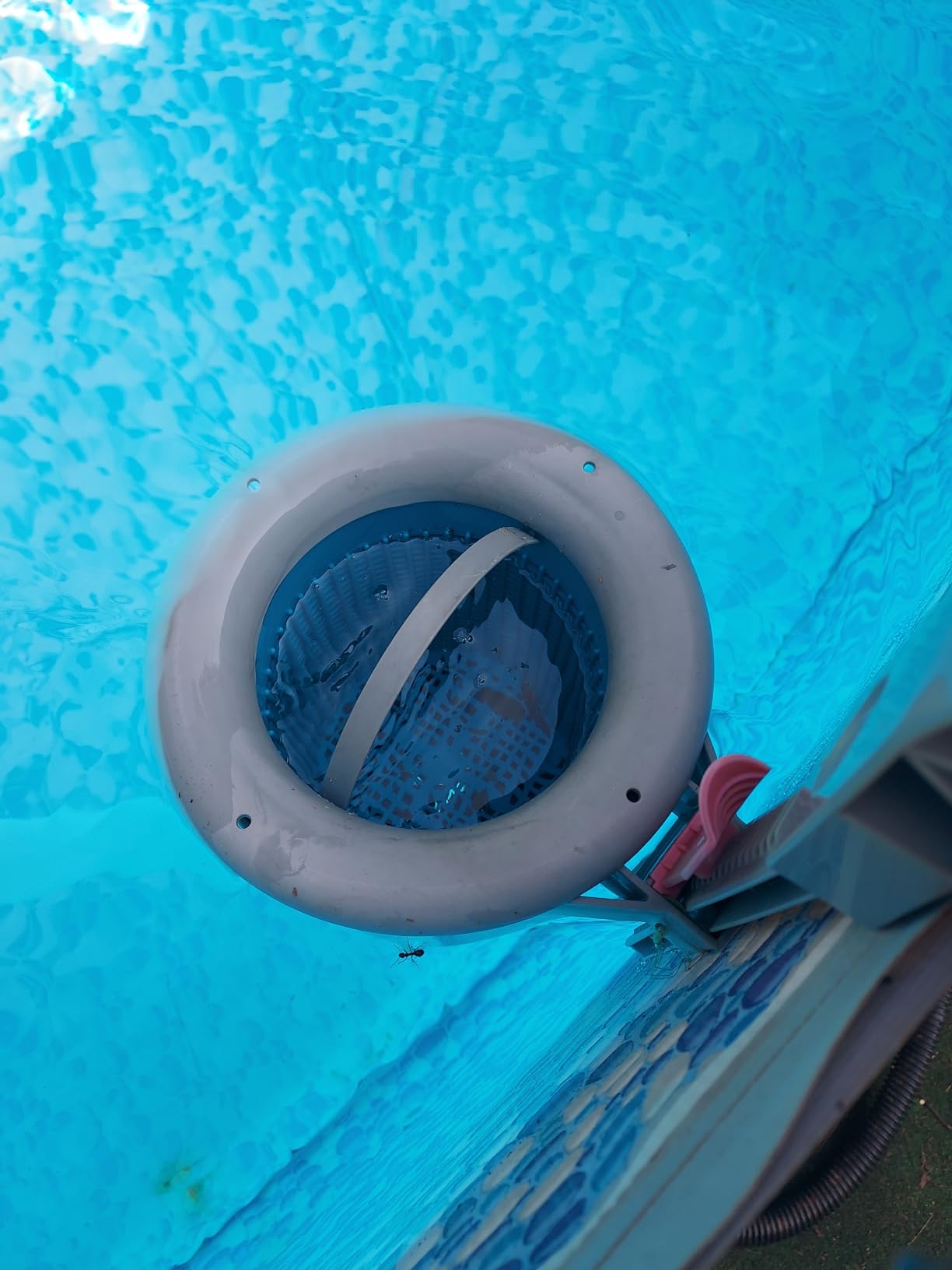 Doheny's 1.5 HP Above Ground Swimming Pool Pump | 115V, 83 GPM (1.2 THP) | Stainless Steel Shaft, Reinforced Thermoplastic customer photo 1