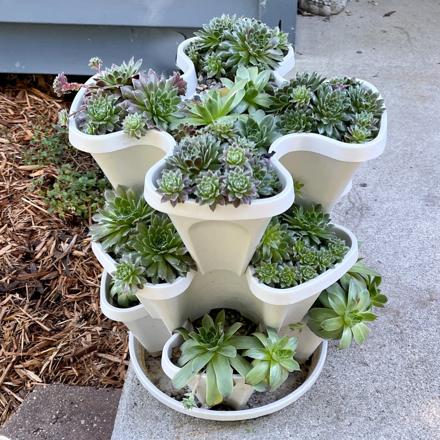Mr. Stacky Self Watering 3 Tier Stackable Garden Vertical Plastic Planter Set, Hunter Green customer photo 1
