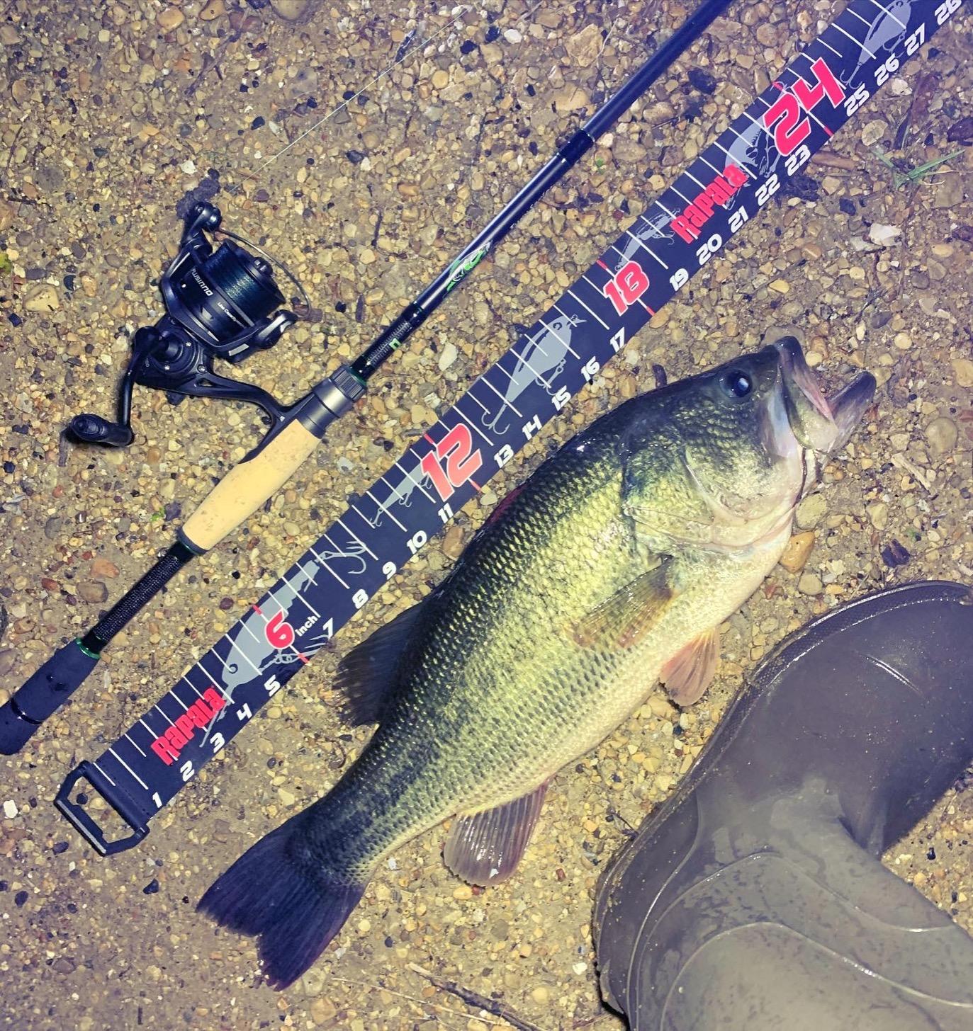 Dobyns Rods Fury Series customer photo 1