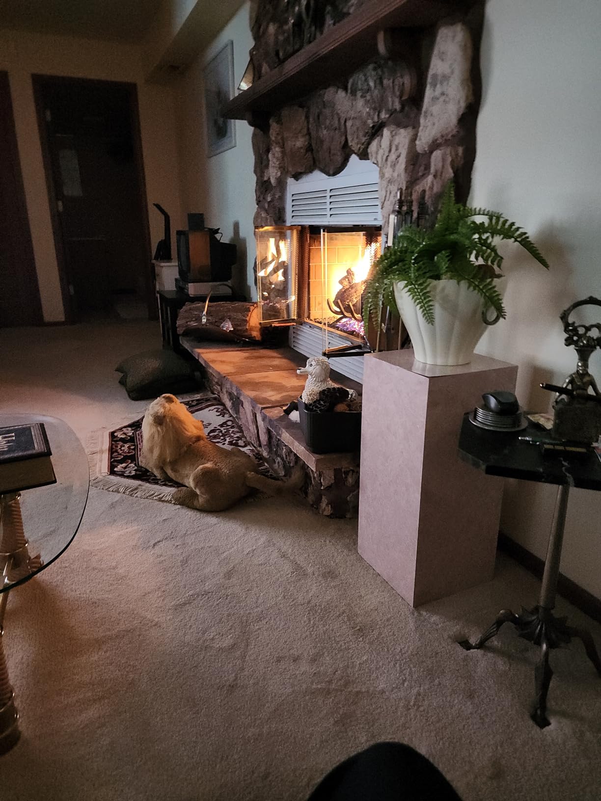 Duluth Forge Vented Natural Gas Fireplace Log Set - 24 in., 55,000 BTU, Match Light, Heartland Oak - Model# FNVL24-1 customer photo 2
