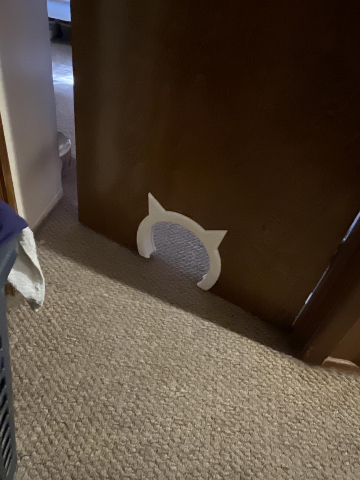 The Kitty Pass XL Cat Door for Interior Door - Cat Hole Kitty Door for Hidden Litter Box - Pet Door for Cats up to 30 lbs - Semi Gloss White Extra Large Cat Door Interior Door customer photo 2