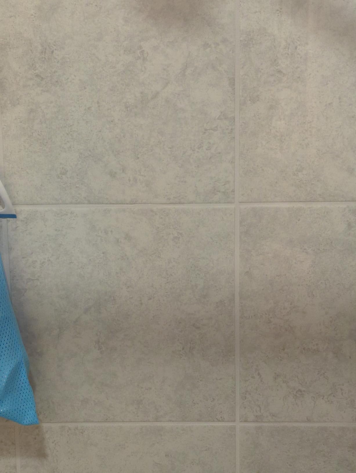 Bioclean Hard Water Stain Remover, 20.3oz customer photo 2