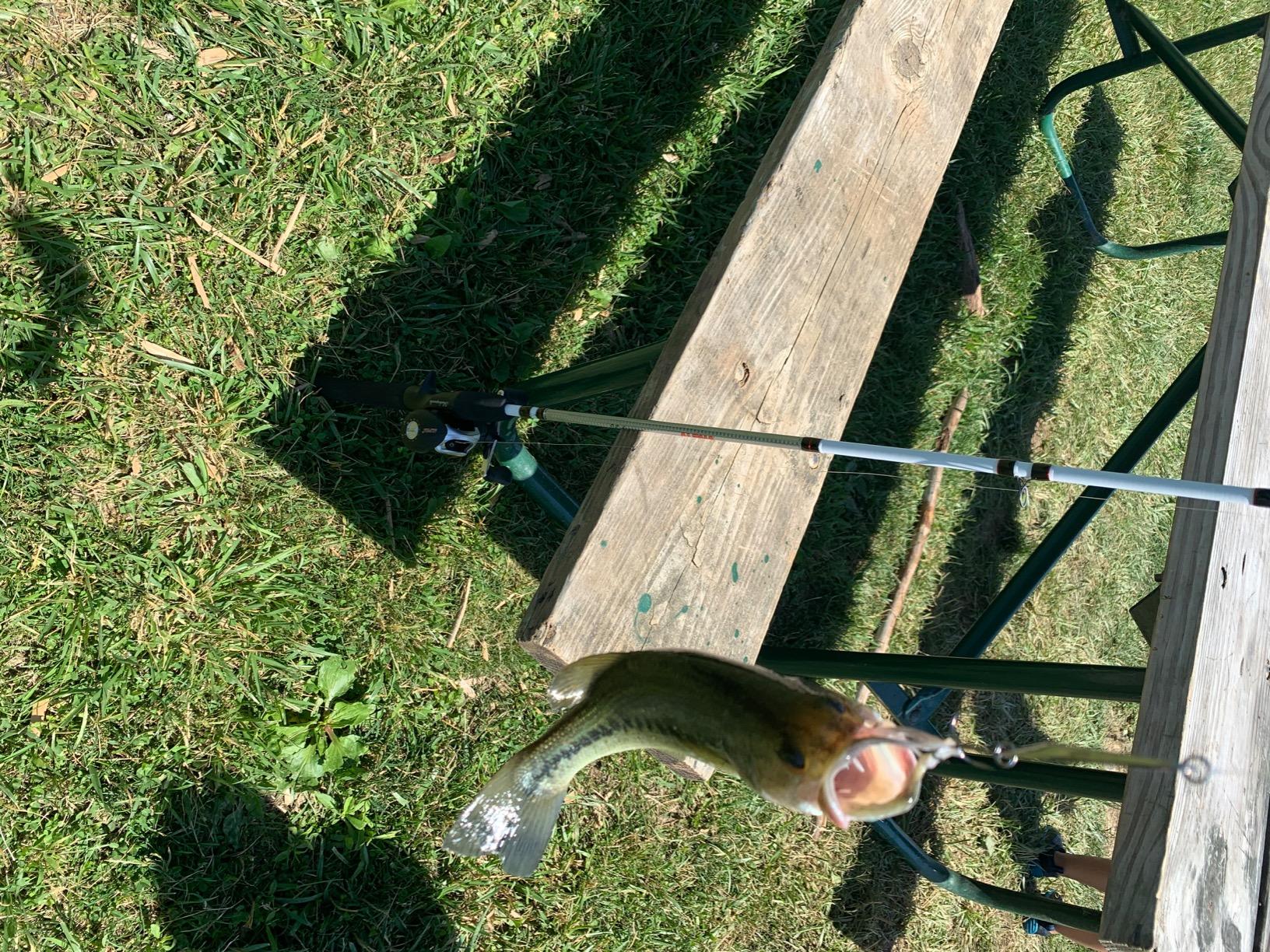 Shakespeare Alpha Medium 6' Low Profile Fishing Rod and Bait Cast Reel Combo (2 Piece),Black, White customer photo 2