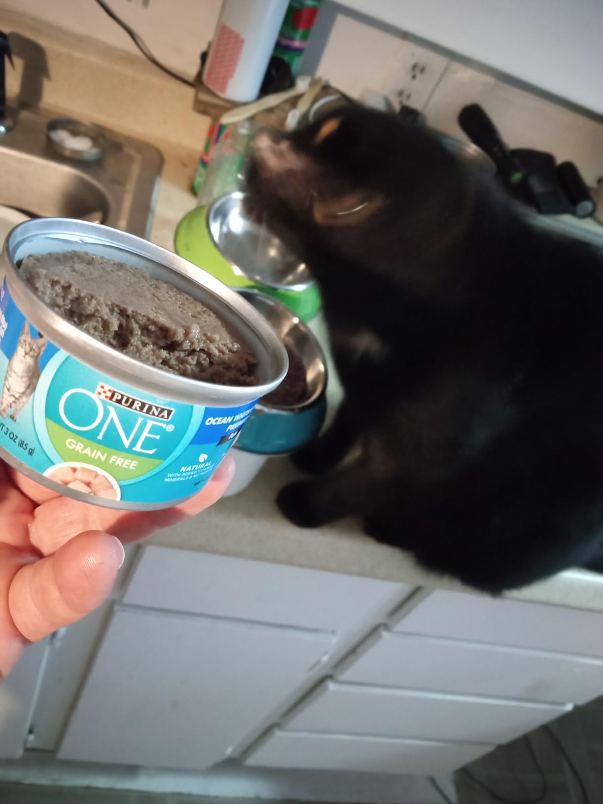 Purina ONE High Protein, Grain Free Pate Wet Cat Food Variety Pack, Grain Free Formula - (Pack of 24) 3 oz. Cans customer photo 1