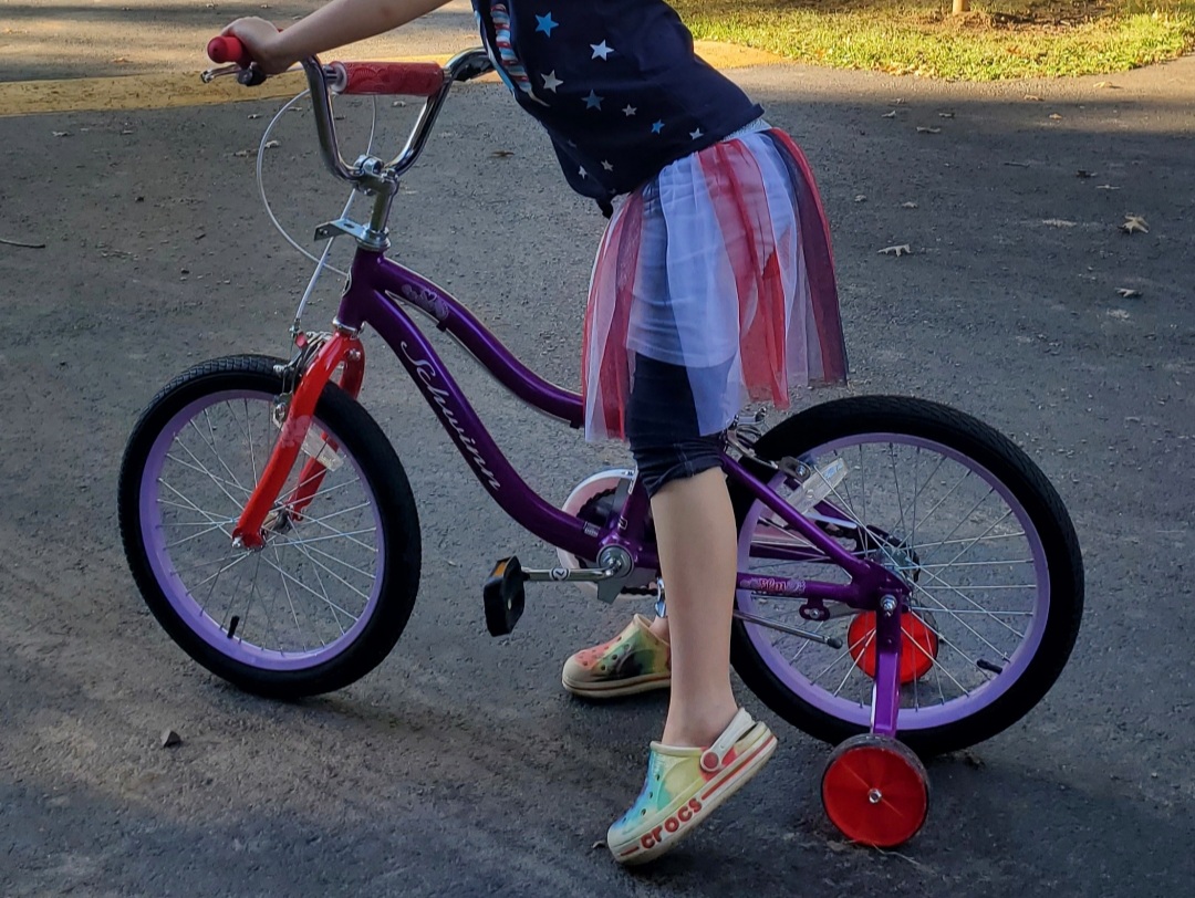 Schwinn Elm Bike, 16 Inch Bike for Kids Ages 3-7, SmartStart Ergonomic Design for Kids, Adjustable Seat Grows with Child, Rear Coaster and Front Caliper Brake, Training Bicycle customer photo 2