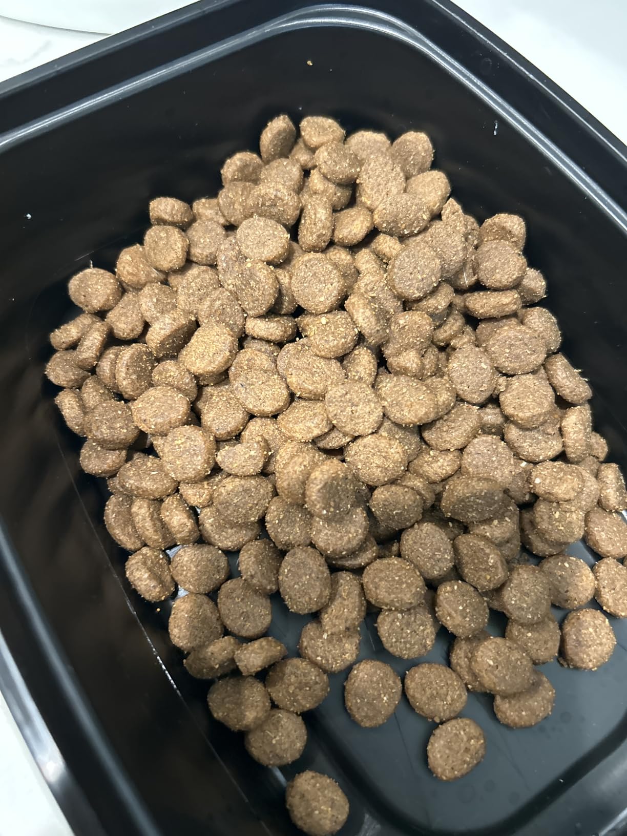Taste of the Wild High Prairie Canine Grain-Free Recipe with Roasted Bison and Venison Adult Dry Dog Food, Made with High Protein from Real Meat and Guaranteed Nutrients and Probiotics 28lb customer photo 2