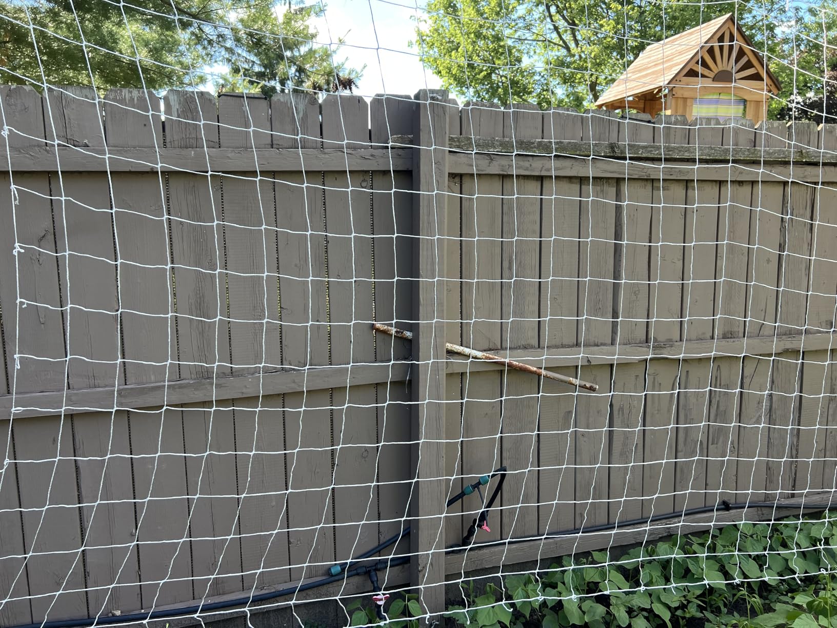 Tcamp Heavy-Duty Polyester Plant Trellis Netting 5 x 15ft (1 Pack) customer photo 1