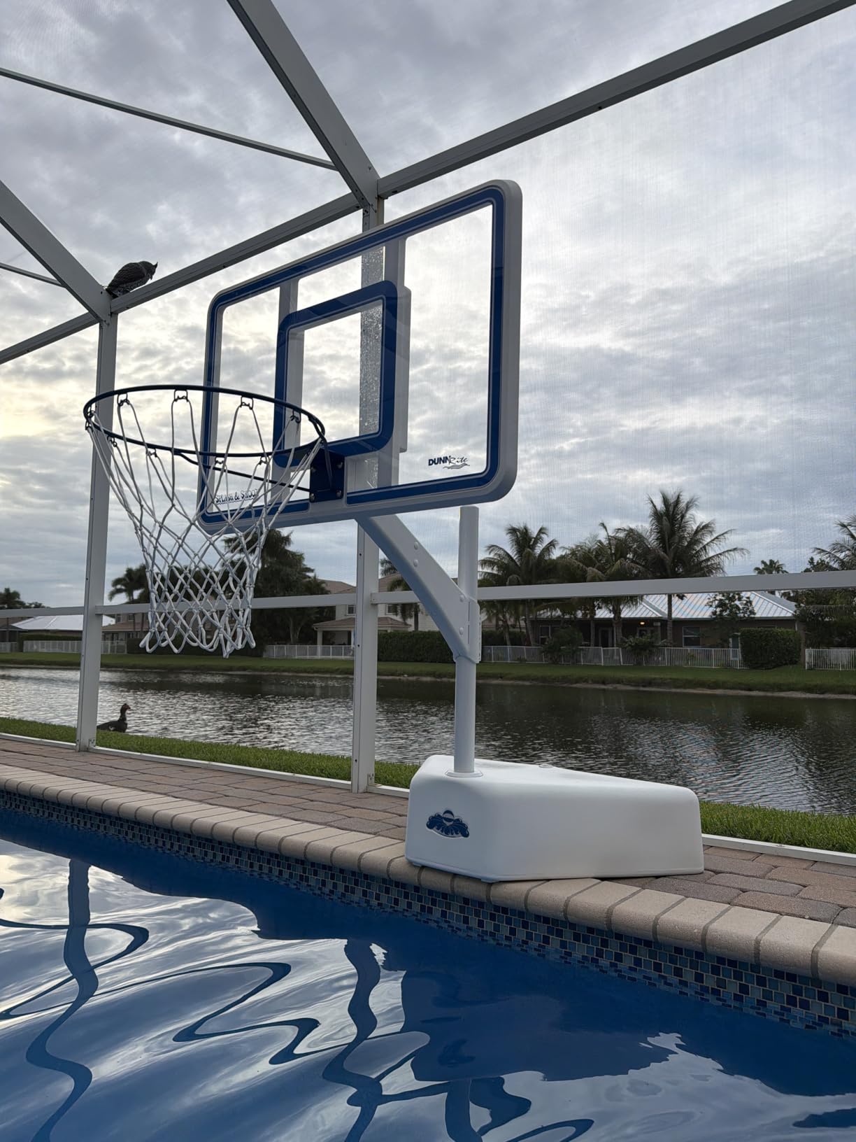 Dunn-Rite Splash & Shoot Pool Basketball Hoop, Adjustable Height Backboard - 200lbs Water-Filled Base, Stainless Steel Rim & Waterproof Basketball, Made in USA, Clear Aqua customer photo 1