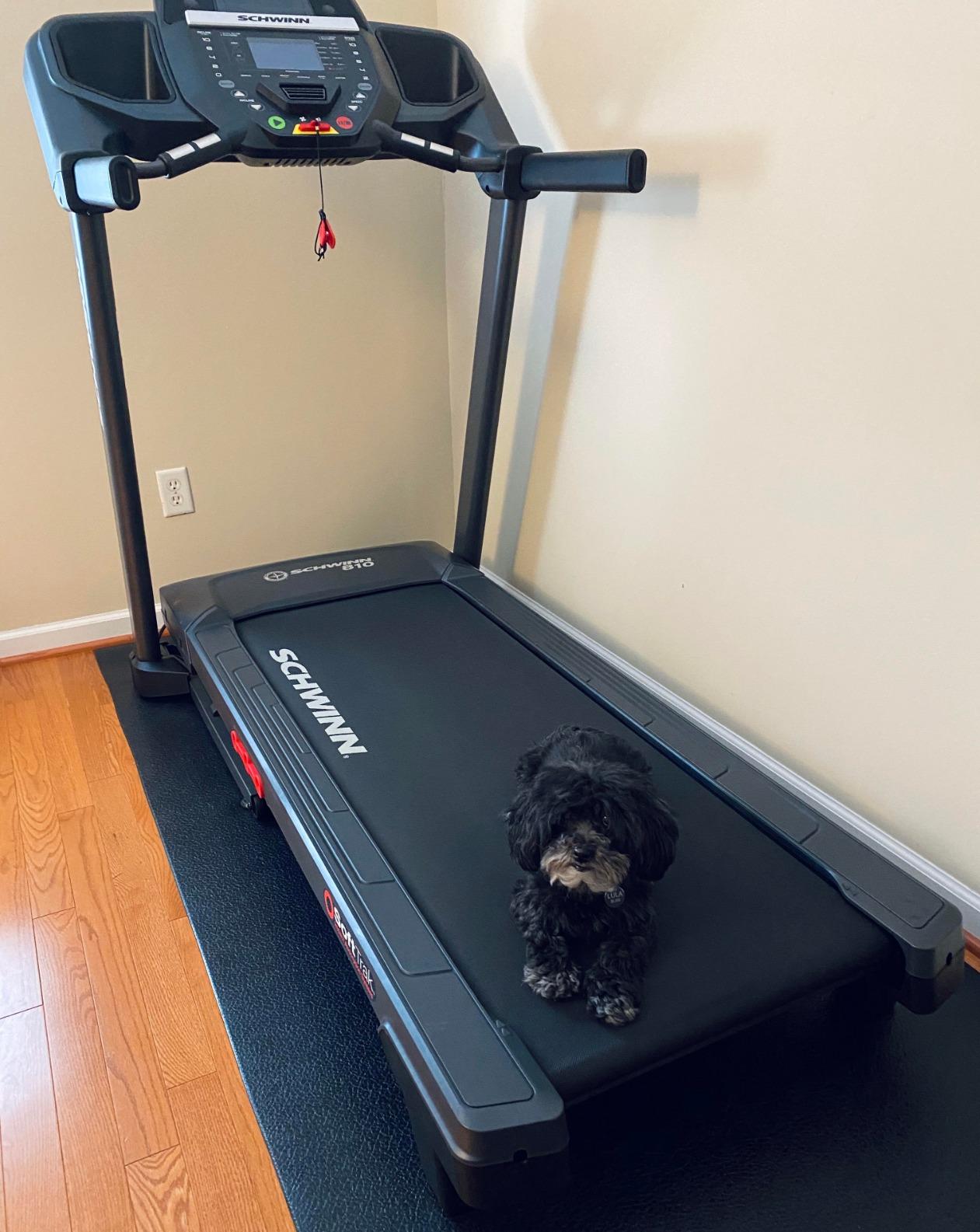 Schwinn 810 Treadmill customer photo 2