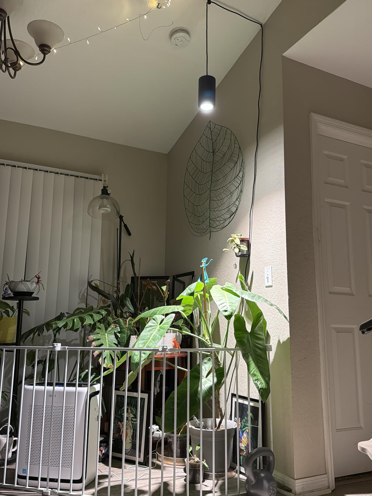 Aspect Soltech Gen 2 - World's First Decor Grow Light | Black High-Output LED Pendant Grow Light for Indoor Plants | Warm White, Natural Light | Dimmable customer photo 1