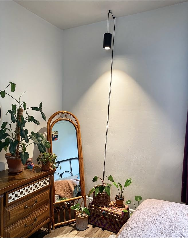 Aspect Soltech Gen 2 - World's First Decor Grow Light | Black High-Output LED Pendant Grow Light for Indoor Plants | Warm White, Natural Light | Dimmable customer photo 2