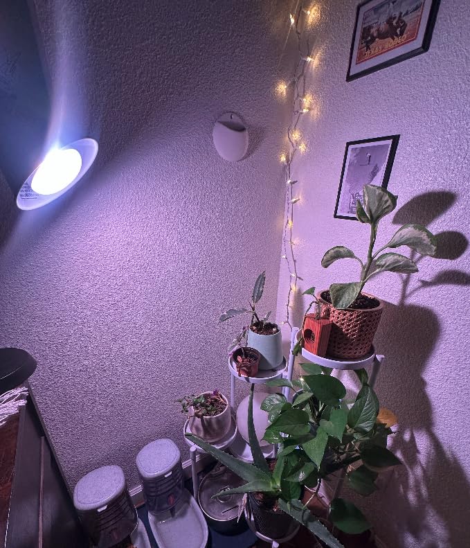 GE Grow Lights for Indoor Plants, BR30 Indoor Floodlight, LED Light Bulbs for Seeds and Greens with Balanced Spectrum, 25,000 Hours Lifespan, 16 PPF, 4 Pack customer photo 2