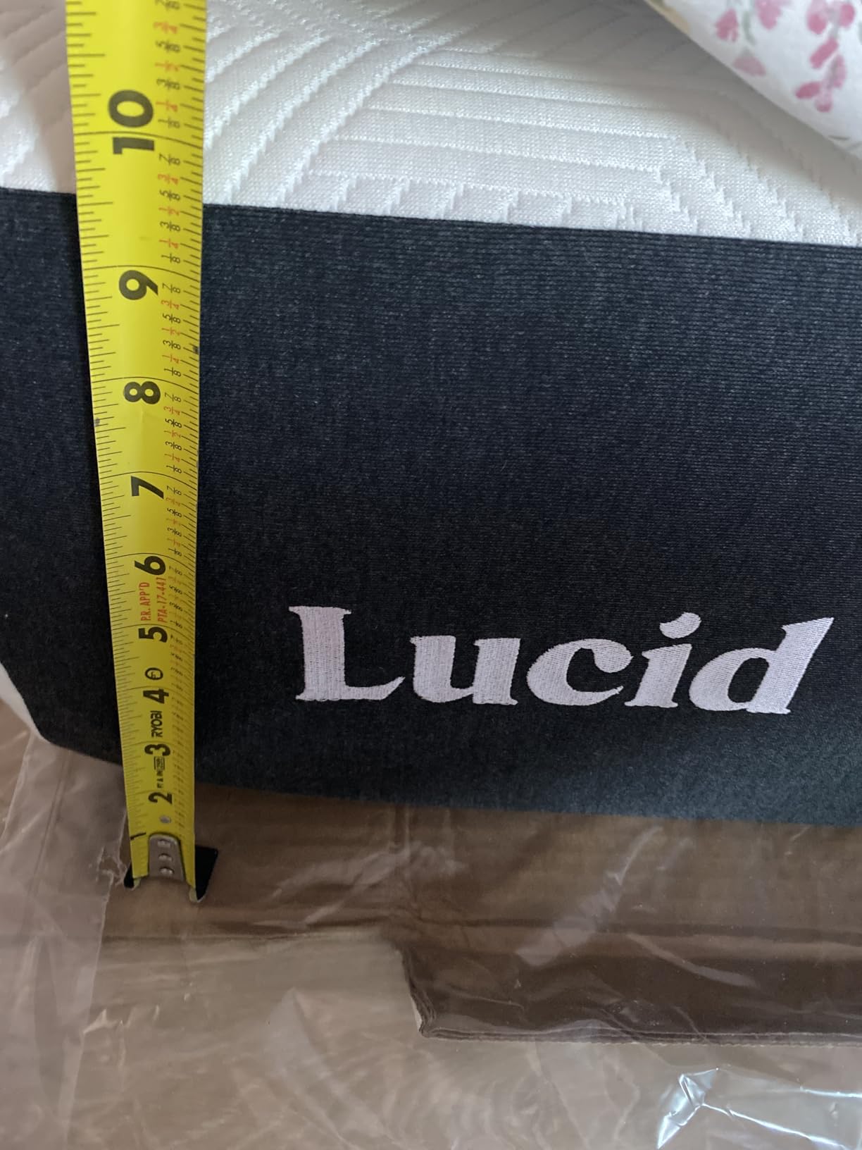 Lucid 10