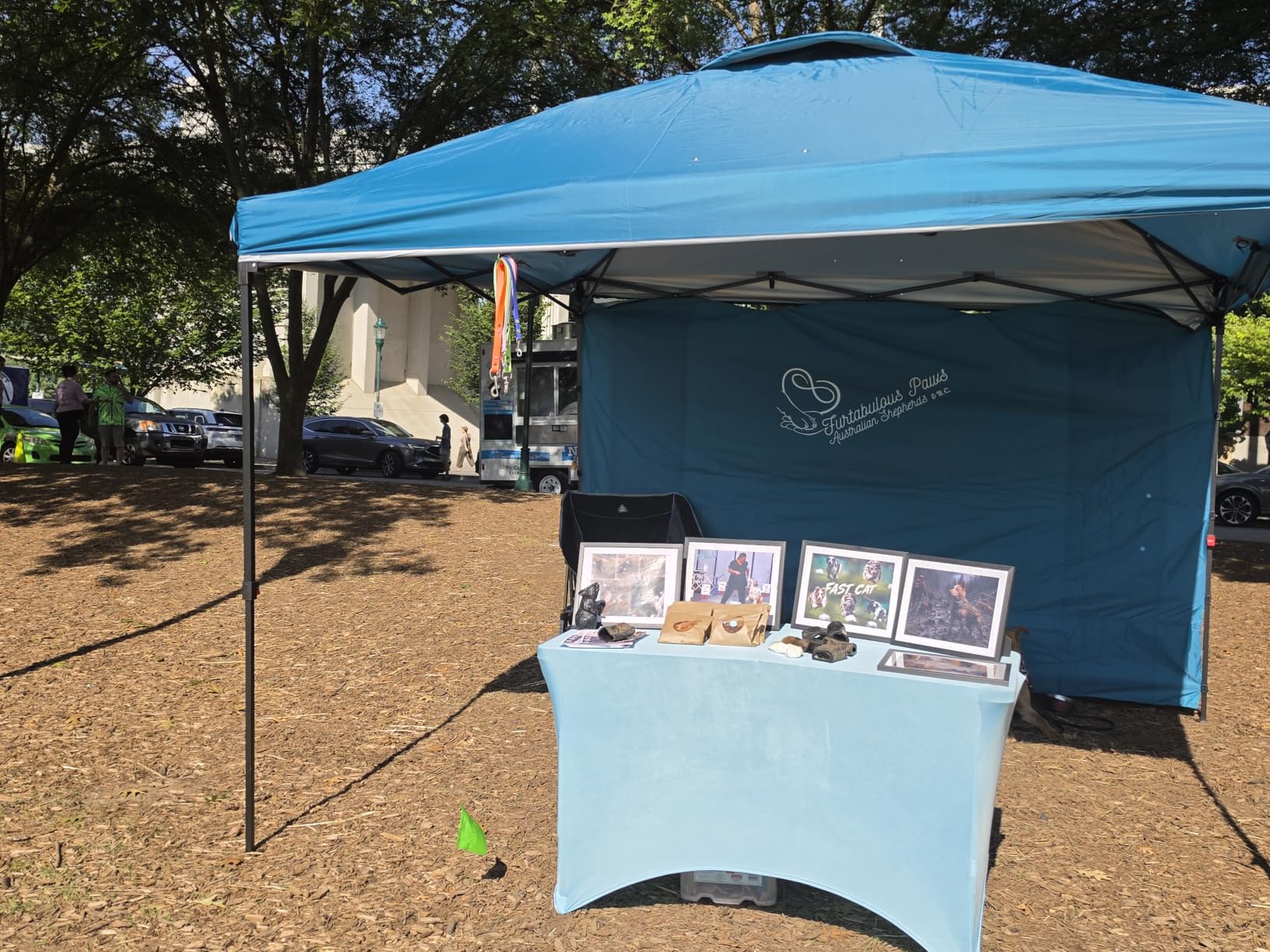 Best Choice Products 10x10ft Pop Up Canopy Tent, Outdoor Shade, 1 Person 1 Minute Set Up, Carry Case, 4 Weight Bags - Navy Blue customer photo 1