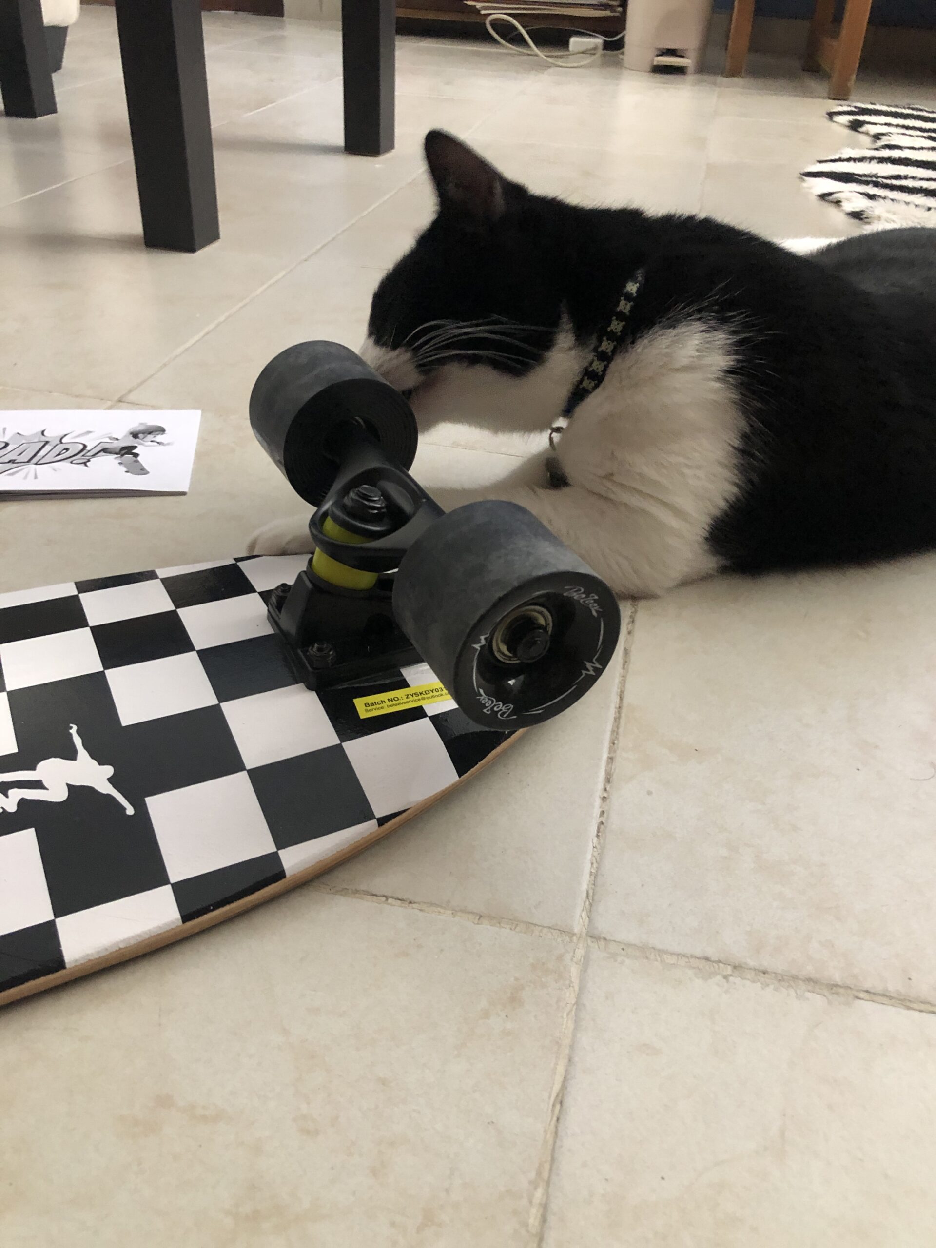 BELEEV Cruiser Skateboards for Beginners, 27 x 8 inch Complete Skateboard for Kids Teens Adults, 7 Ply Canadian Maple Double Kick Deck Concave Skateboard with Skate T-Tool customer photo 1