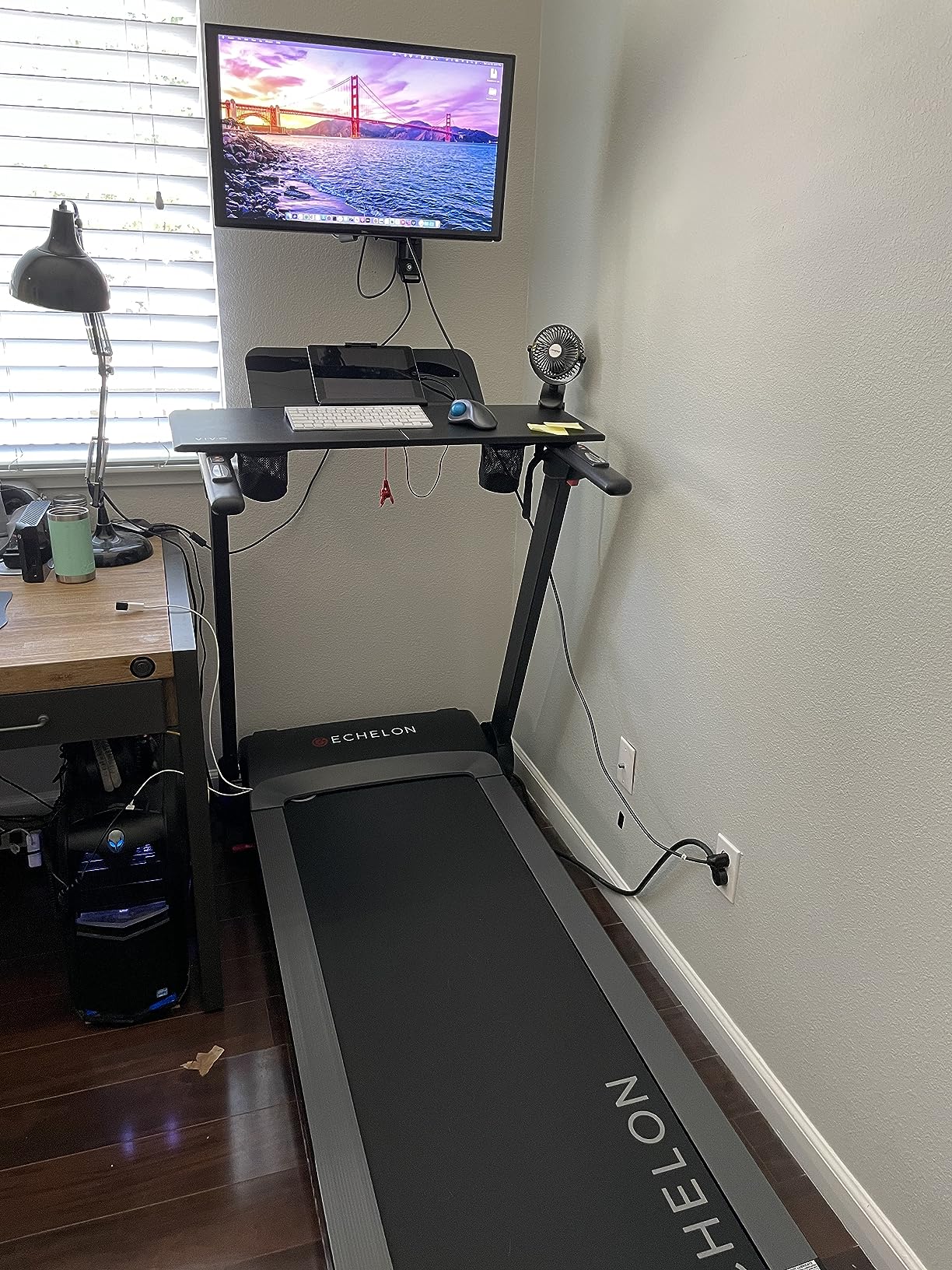 Echelon Stride Treadmill, Smart Foldable, 300 Lb Capacity, Motorized Incline, Comfortable Air Cushioning Deck, 30-Day Free Membership customer photo 1