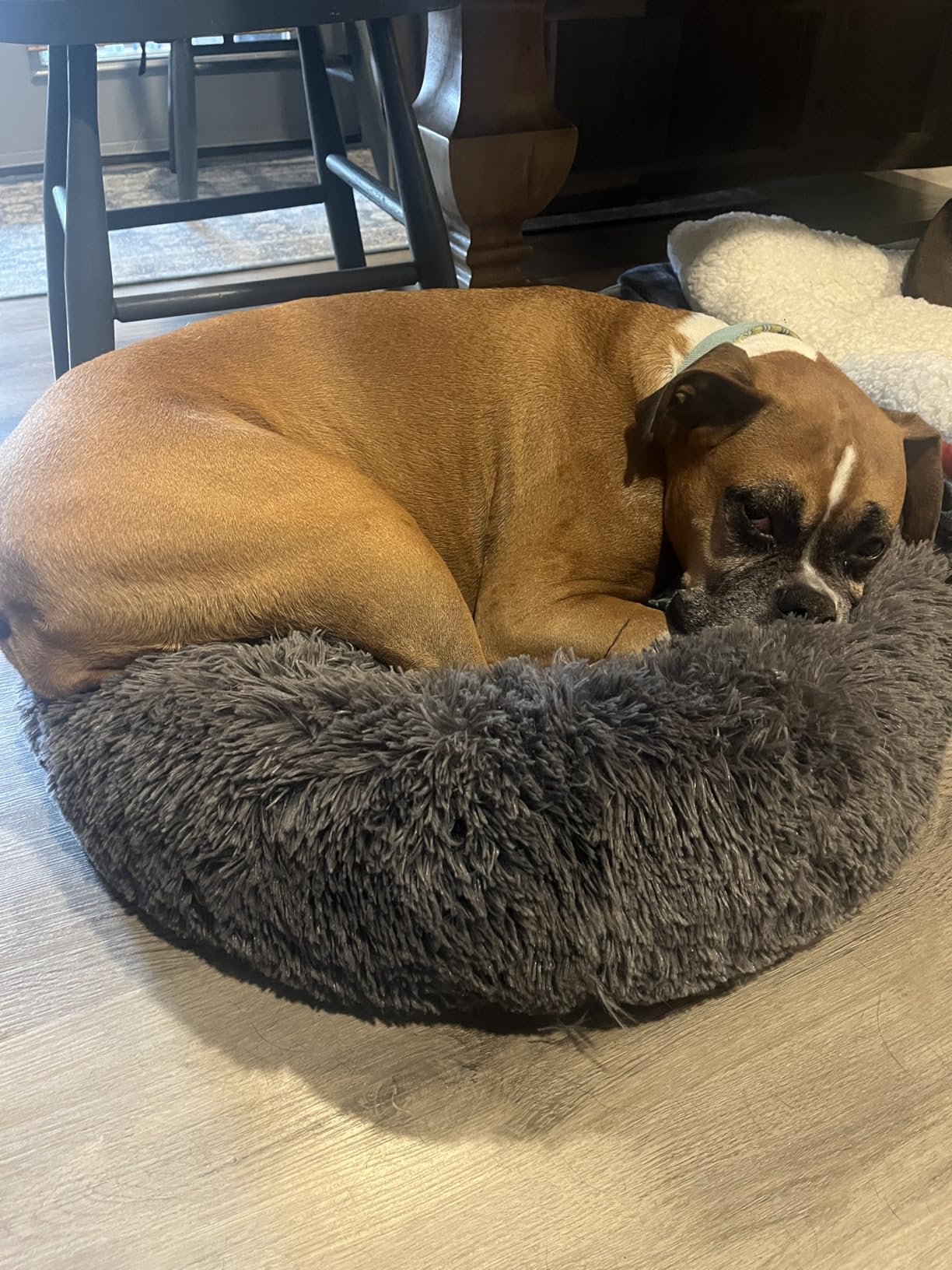 Bedsure Calming Dog Bed Medium Size Dog - Donut Washable Medium Pet Bed, 30 inches Anti-Slip Round Fluffy Plush Faux Fur Cat Bed, Fits up to 45 lbs Pets, Camel customer photo 2