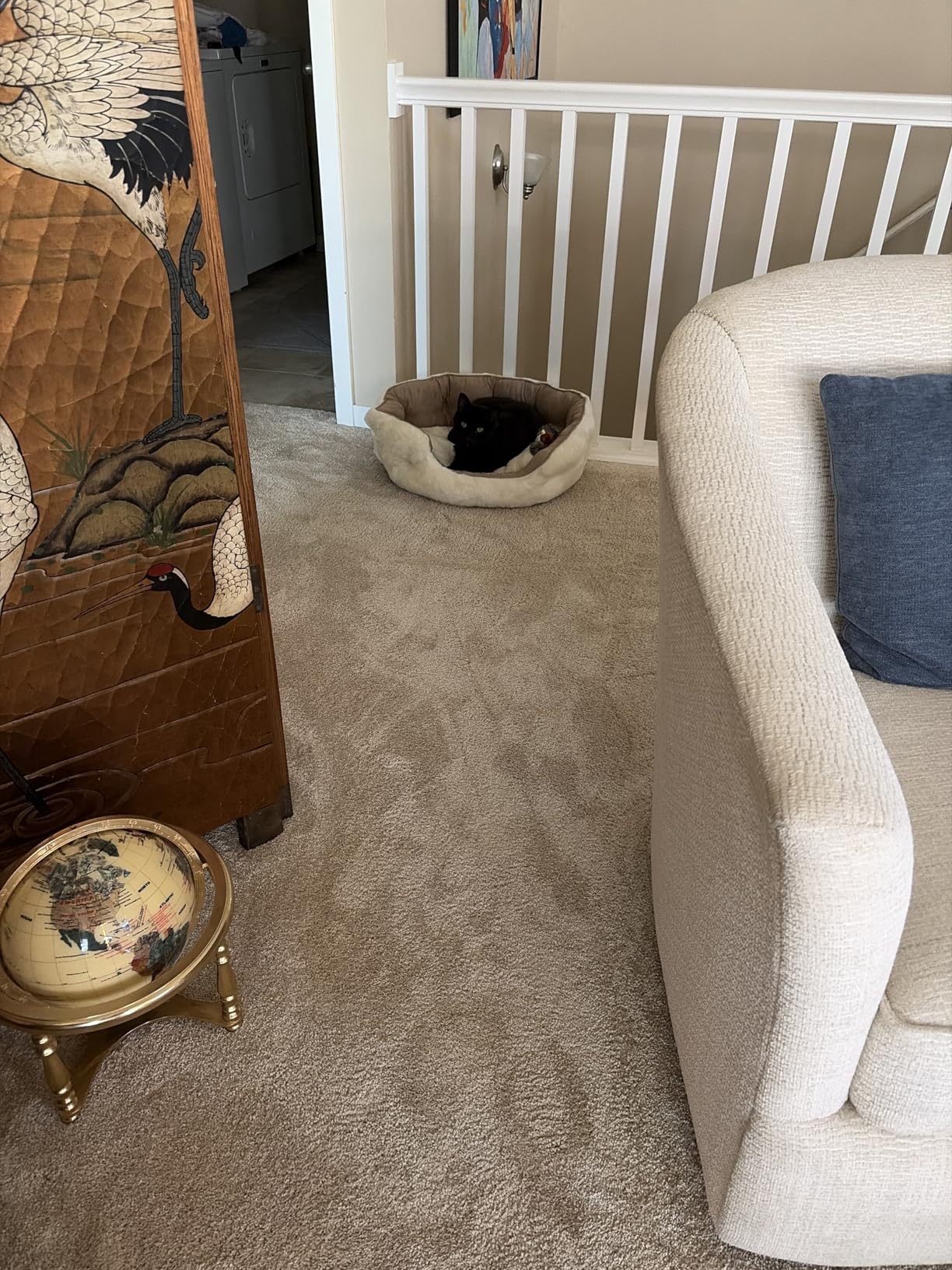 Bedsure Dog Beds for Small Dogs - Round Cat Beds for Indoor Cats, Washable Pet Bed for Puppy and Kitten with Slip-Resistant Bottom, 20 Inches, Camel customer photo 1