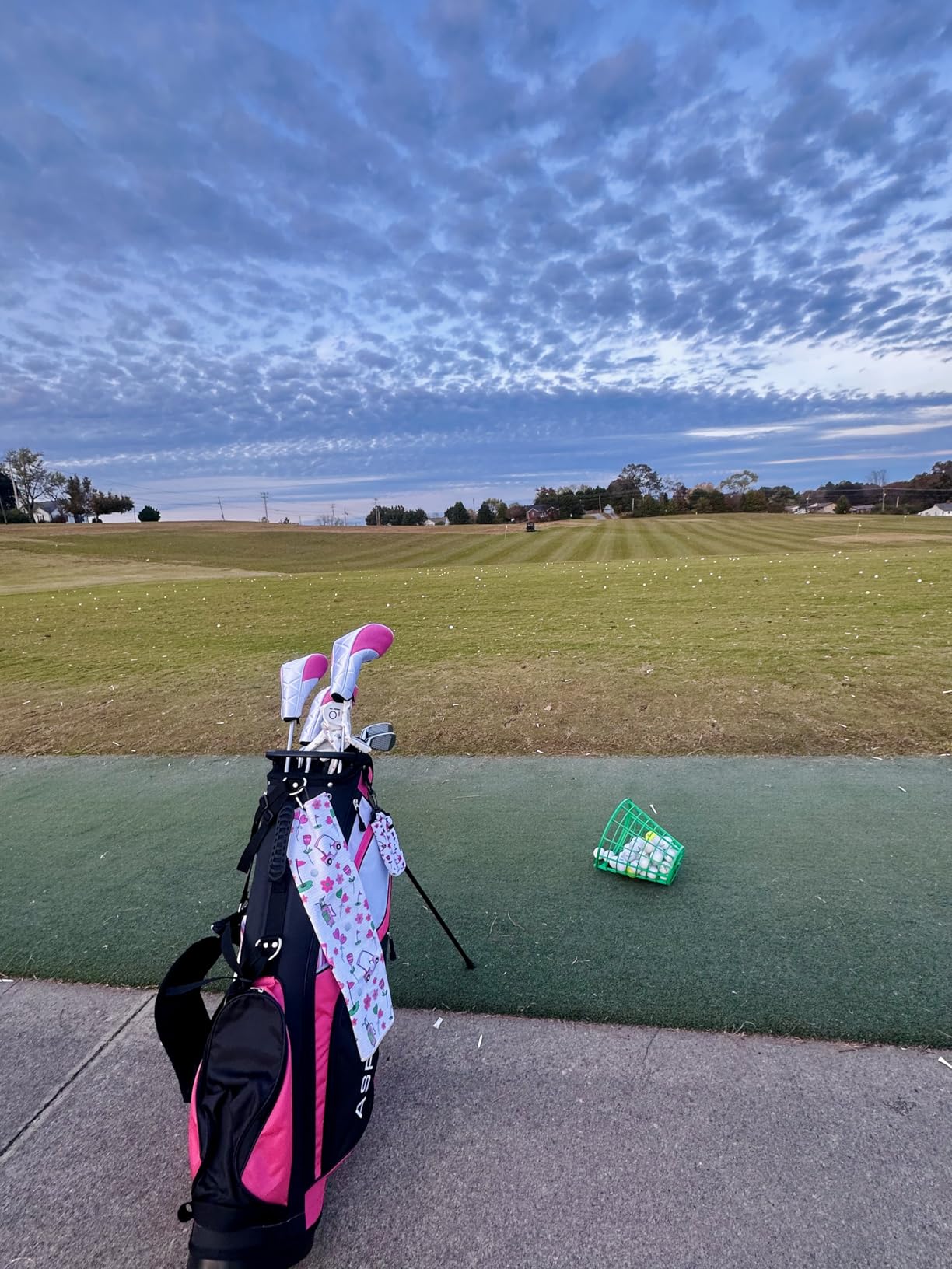 Aspire XD1 Womens Golf Clubs Full Set, Includes Driver, Fairway, Hybrid, 6-PW Irons, Putter, Stand Bag, 3 H/C's, Ultra-Light Graphite Shafts customer photo 1