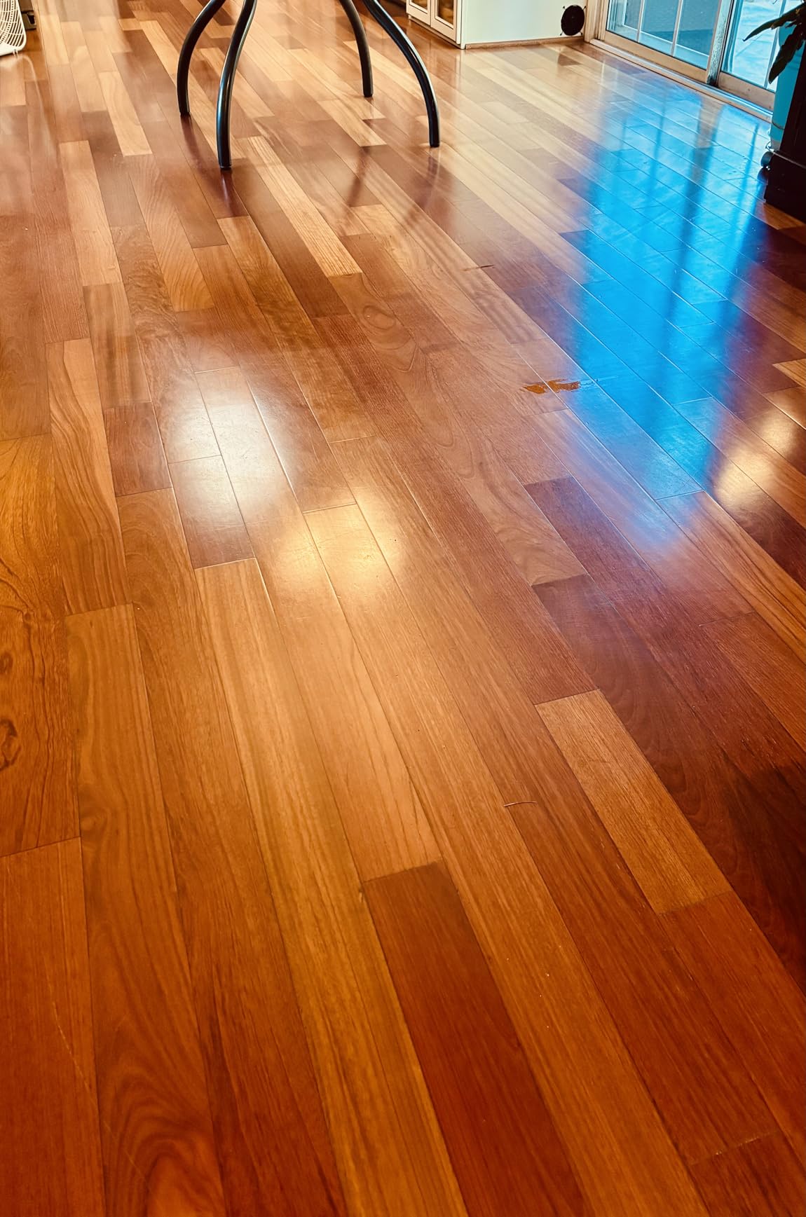 Bissell® SpinWave Hard Floor Expert Corded Spin Mop Cleaner with Washable mop Pads for Sealed Hard Floors, 20393 customer photo 2