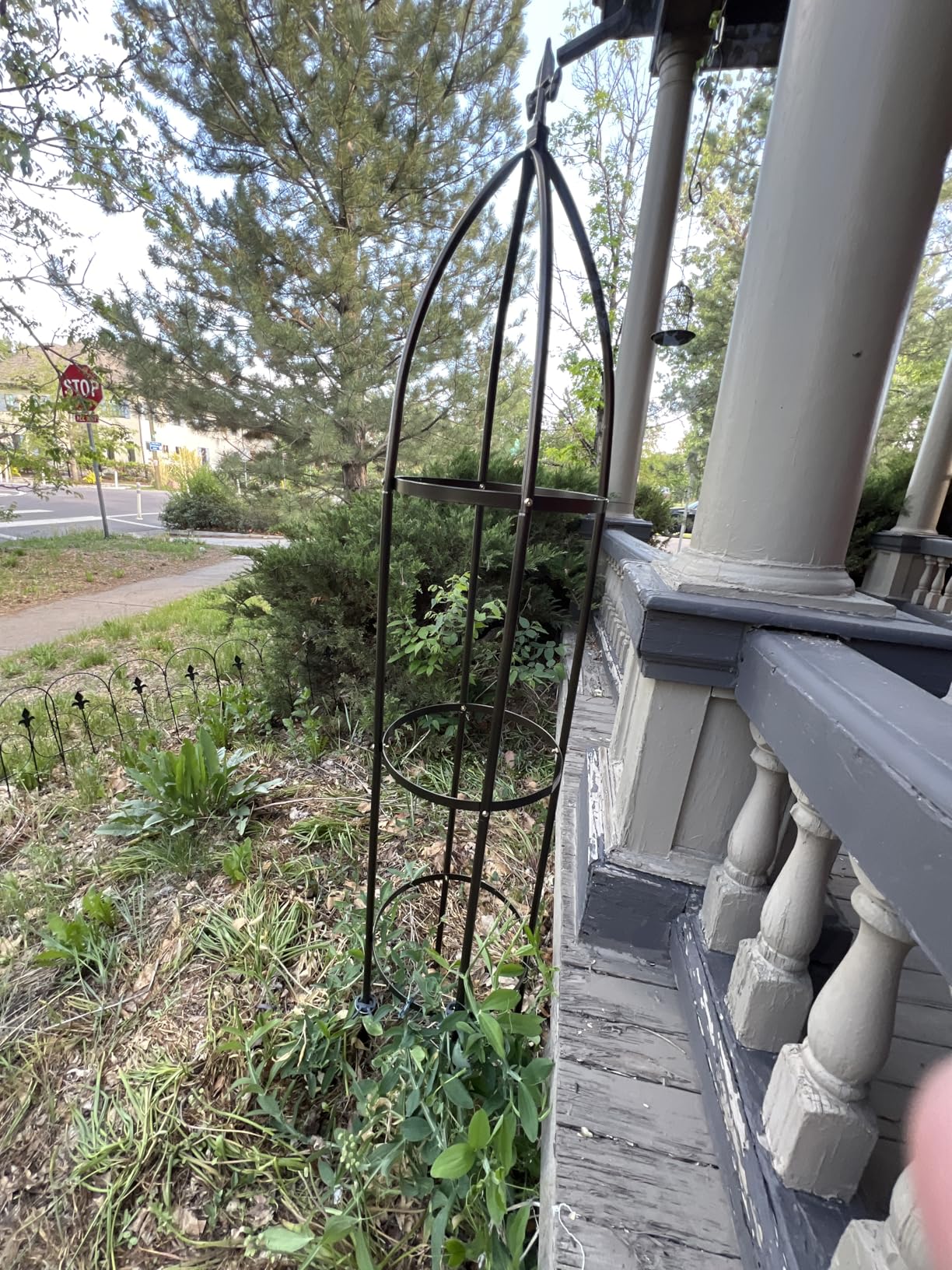 100% Metal Obelisk Garden Trellis 6.3 Feet Tall Sturdy Plant Support for Climbing Vines and Flowers Stands, 1pc Upgrade (Bronze, Large) customer photo 1