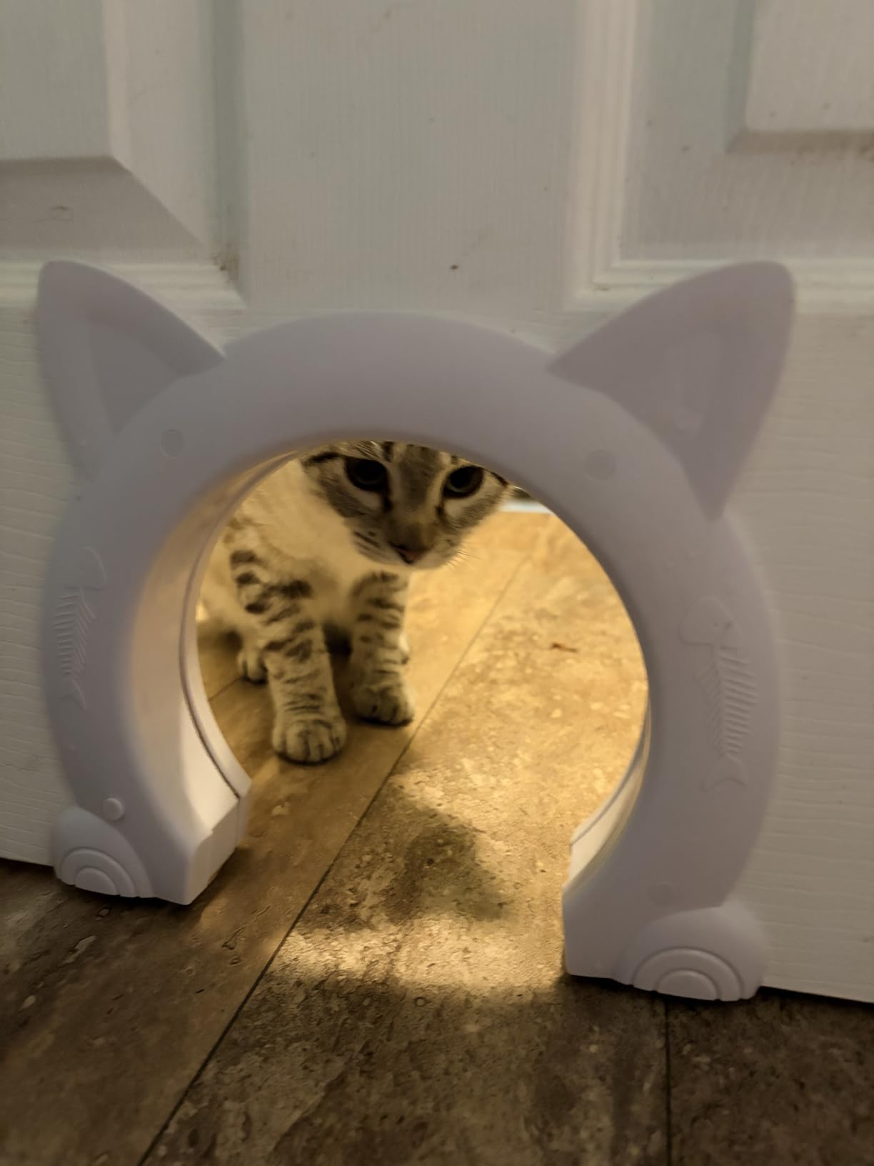 Indoor Cat Door, Cat Door for Interior Door, Pet Doors for Cat, Kitties and Kittens customer photo 1