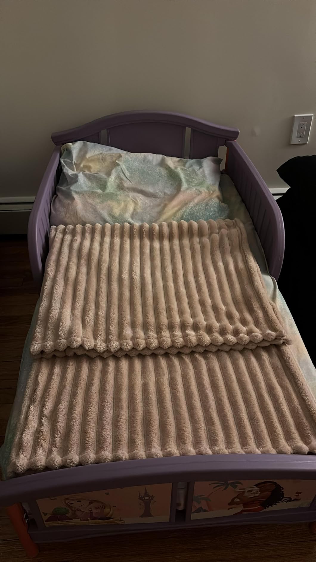 Delta Children Canopy Toddler Bed, Disney Princess customer photo 2